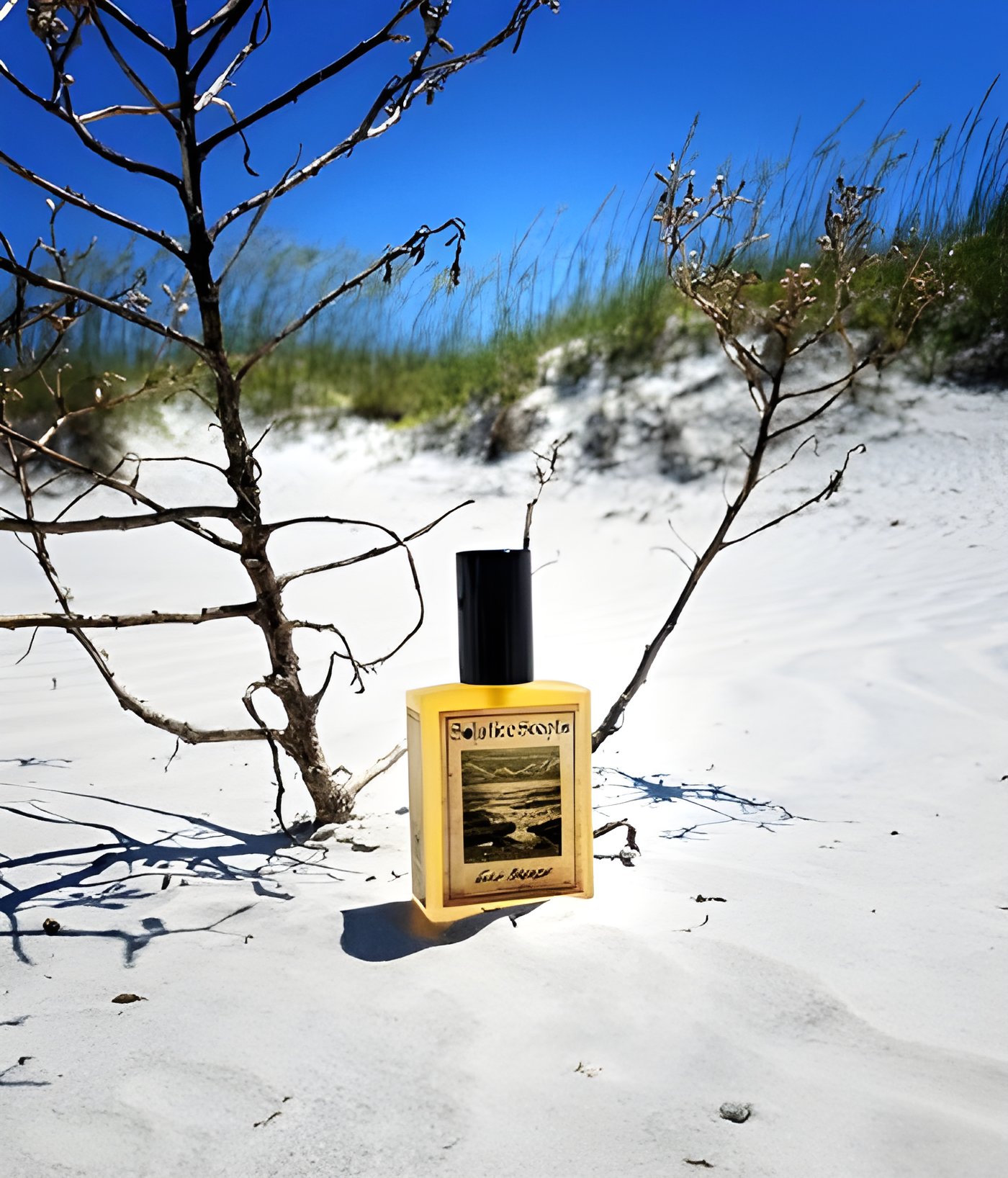 Picture of Gulf Breeze fragrance