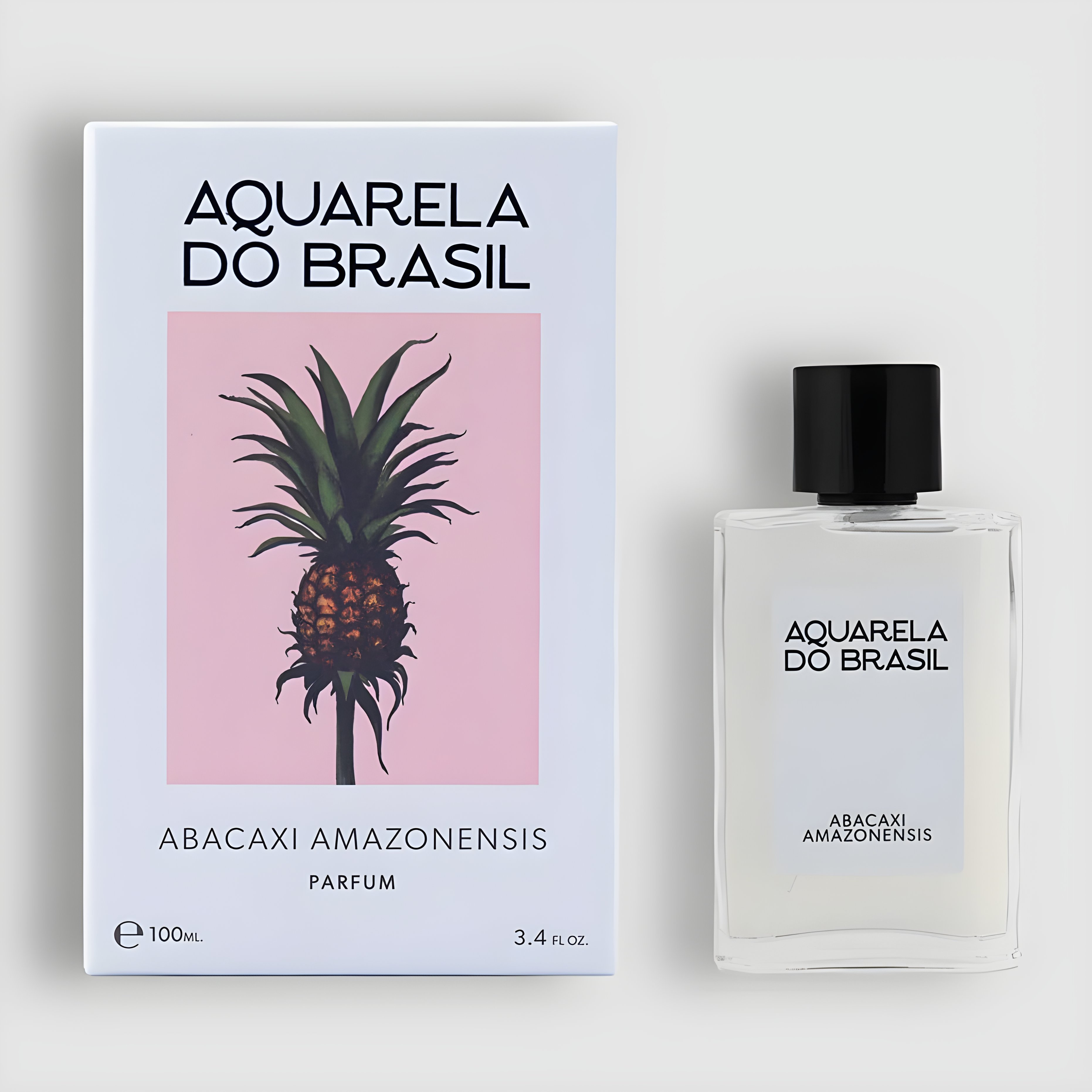 Picture of Abacaxi fragrance