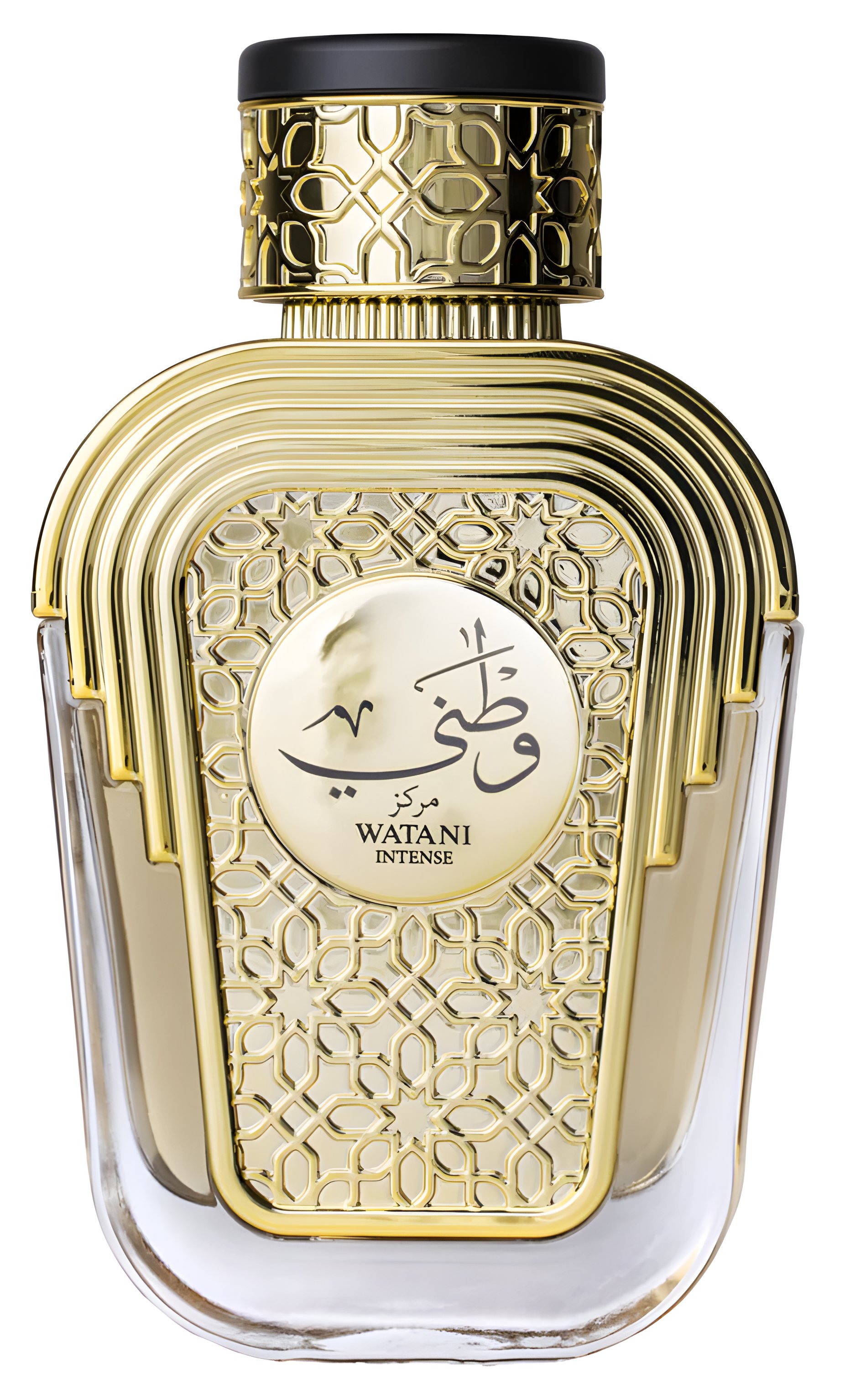 Picture of Watani Intense fragrance