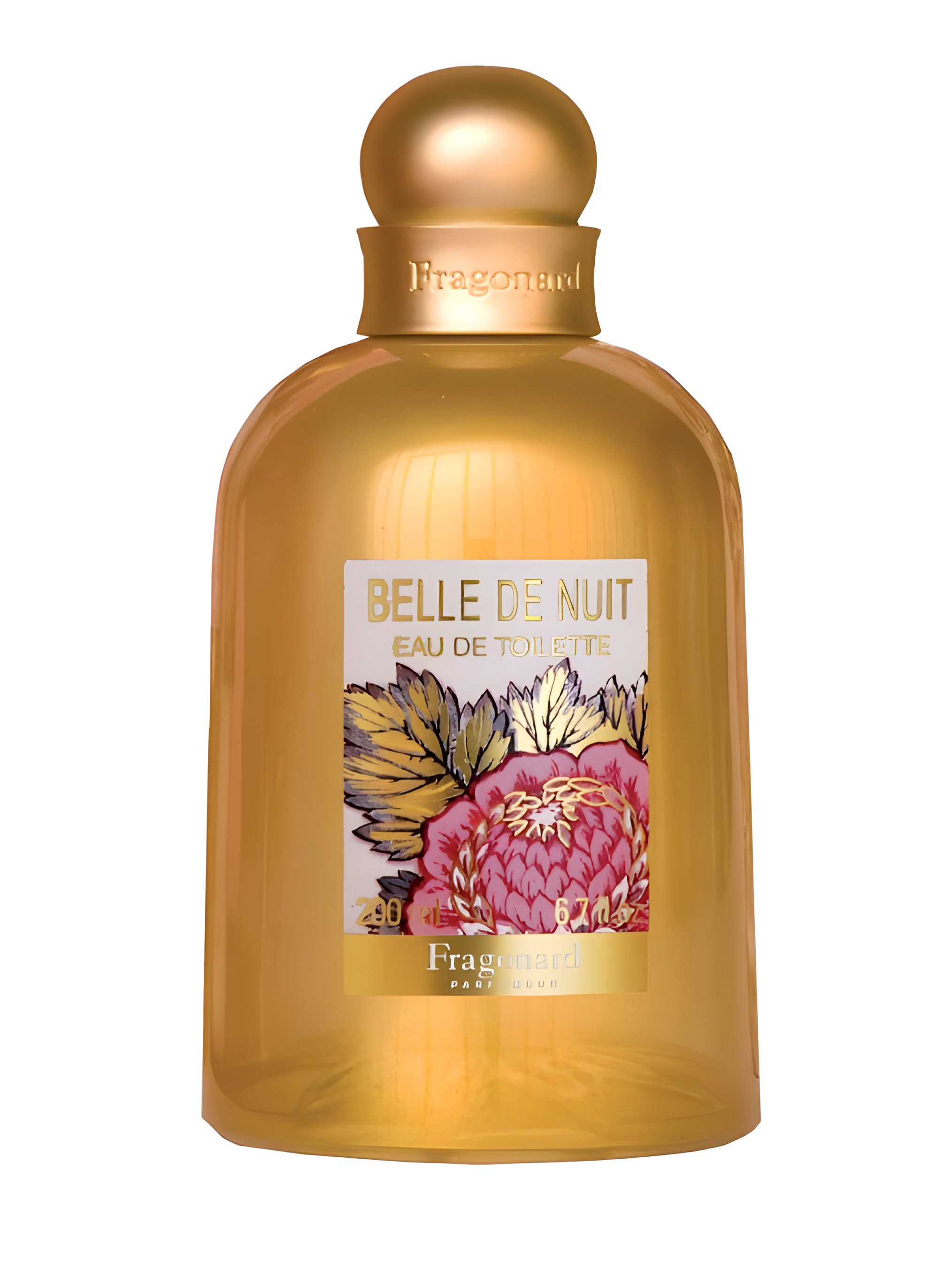 Picture of Belle de Nuit fragrance