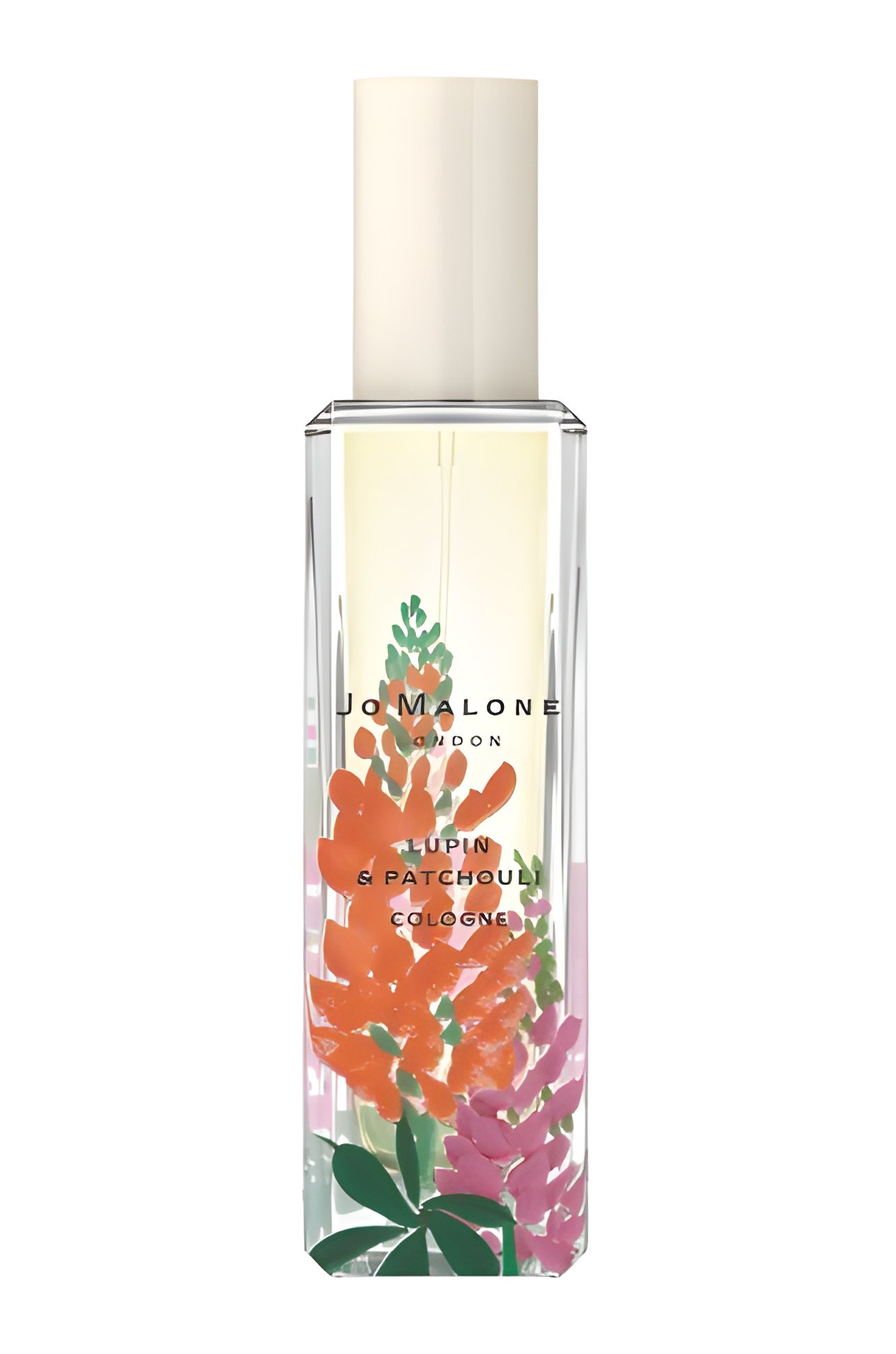 Picture of Lupin & Patchouli fragrance