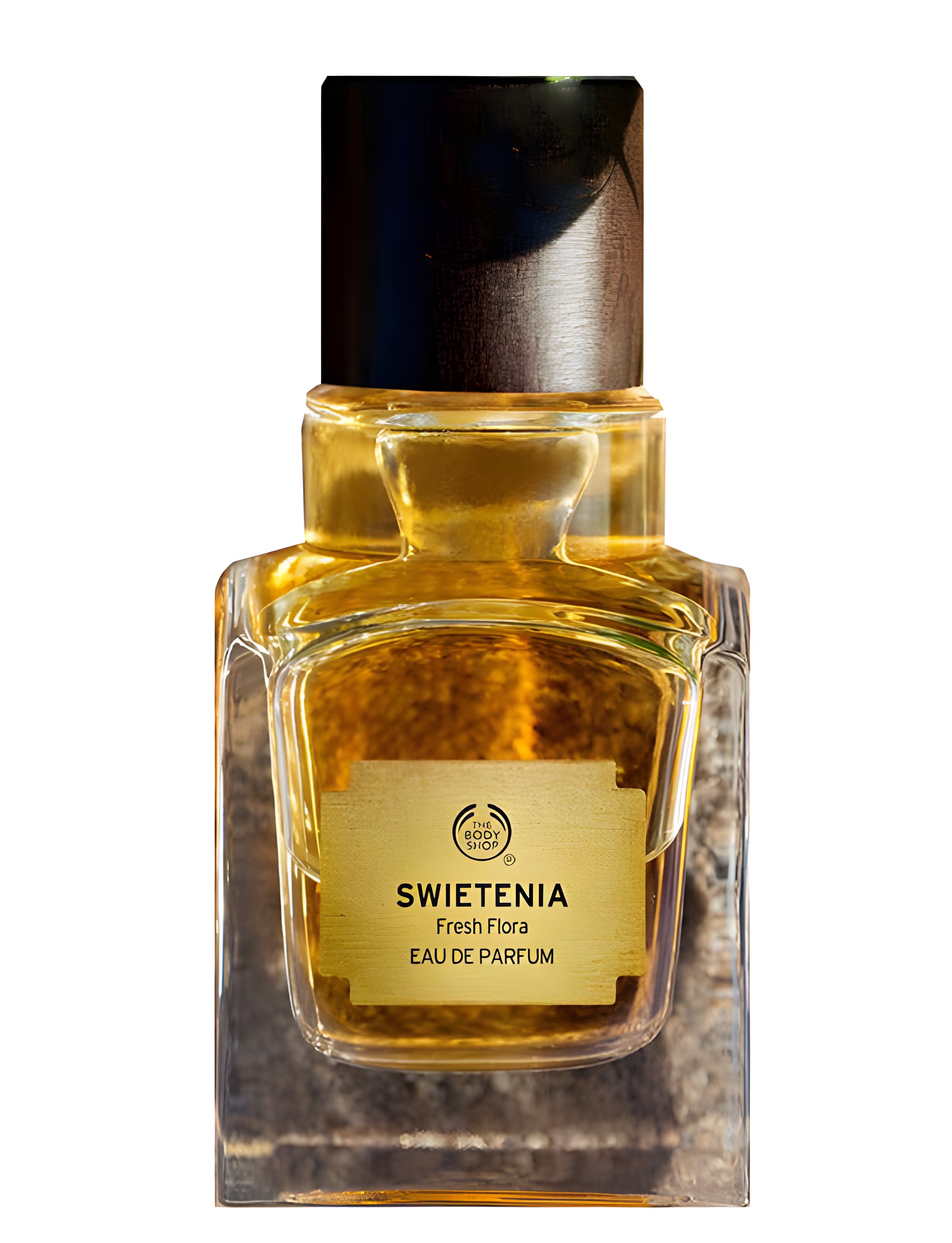 Picture of Swietenia fragrance