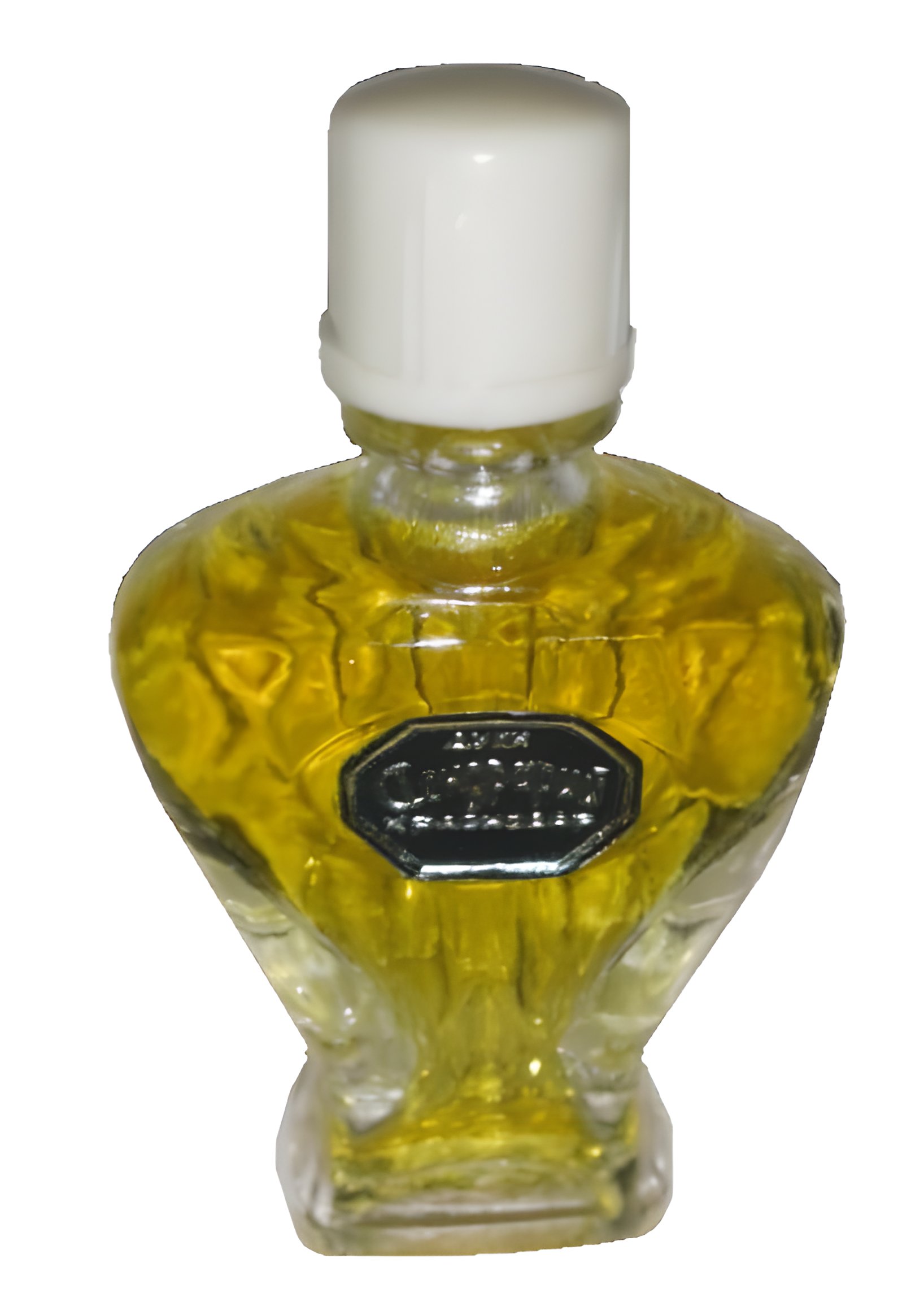 Picture of Дендрарий fragrance