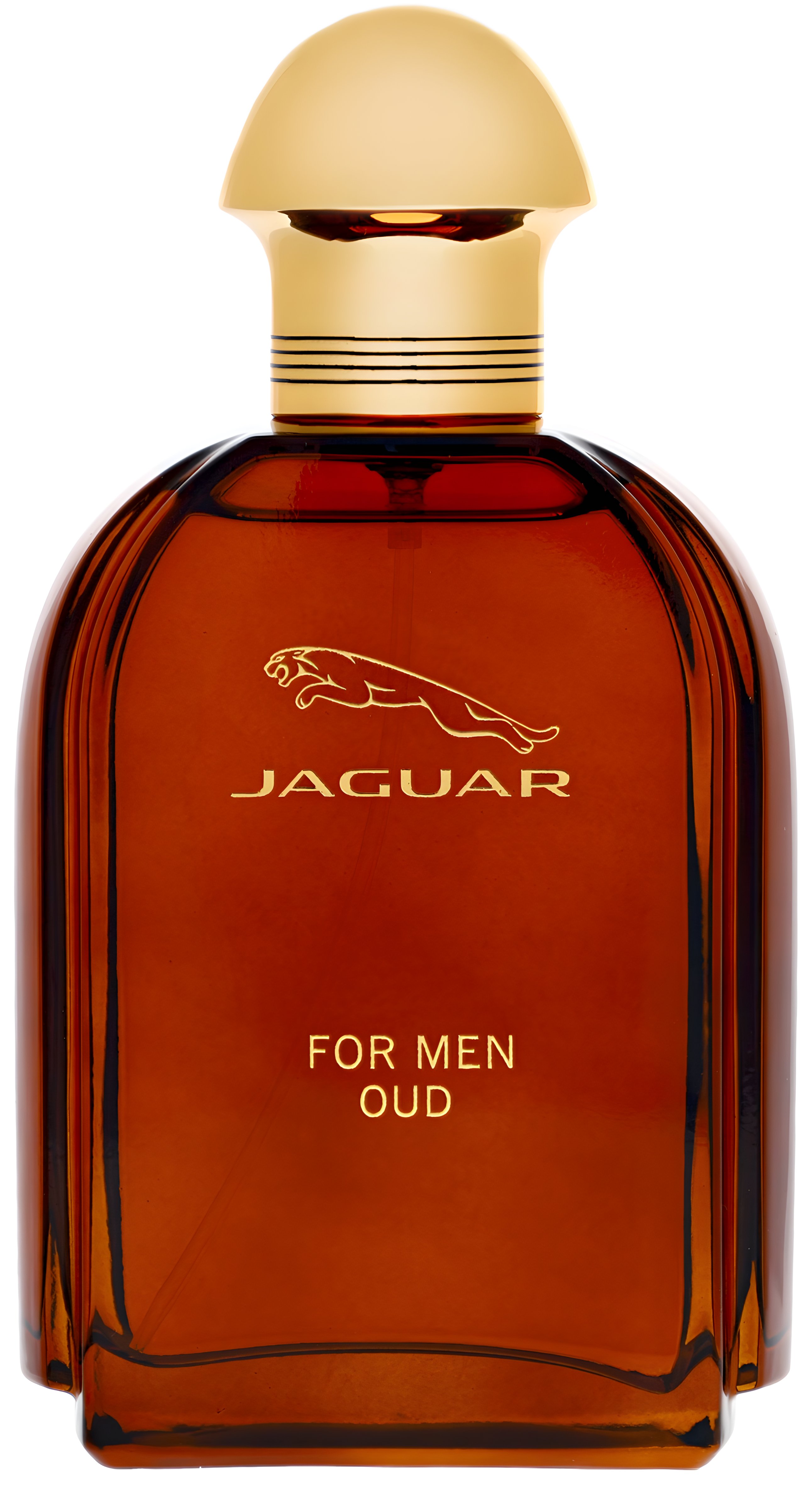 Picture of Jaguar for Men Oud fragrance