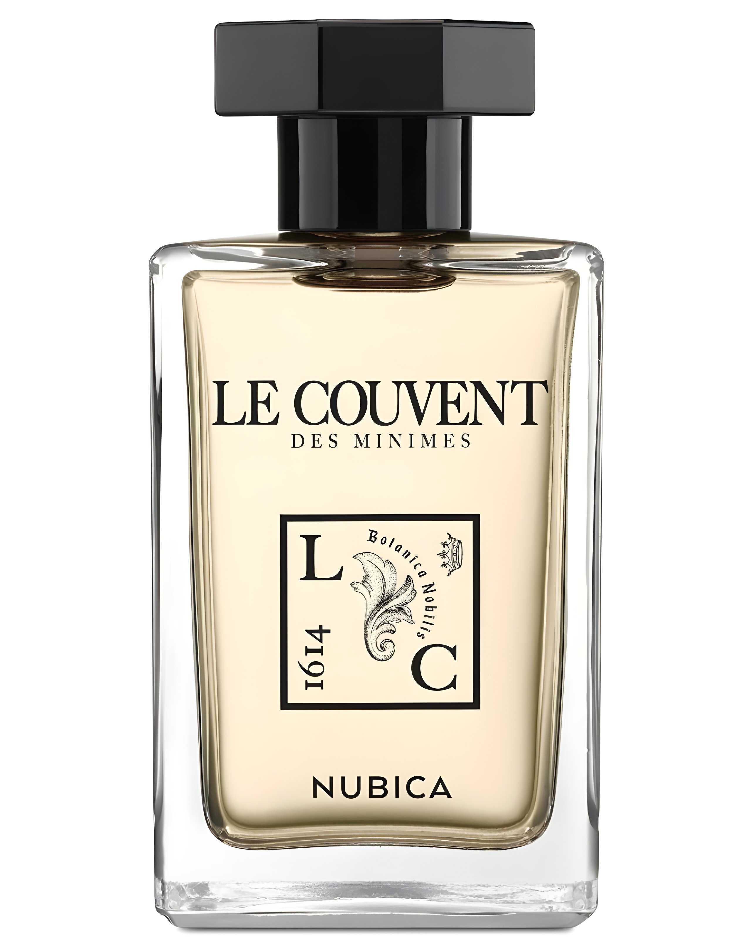 Picture of Nubica fragrance