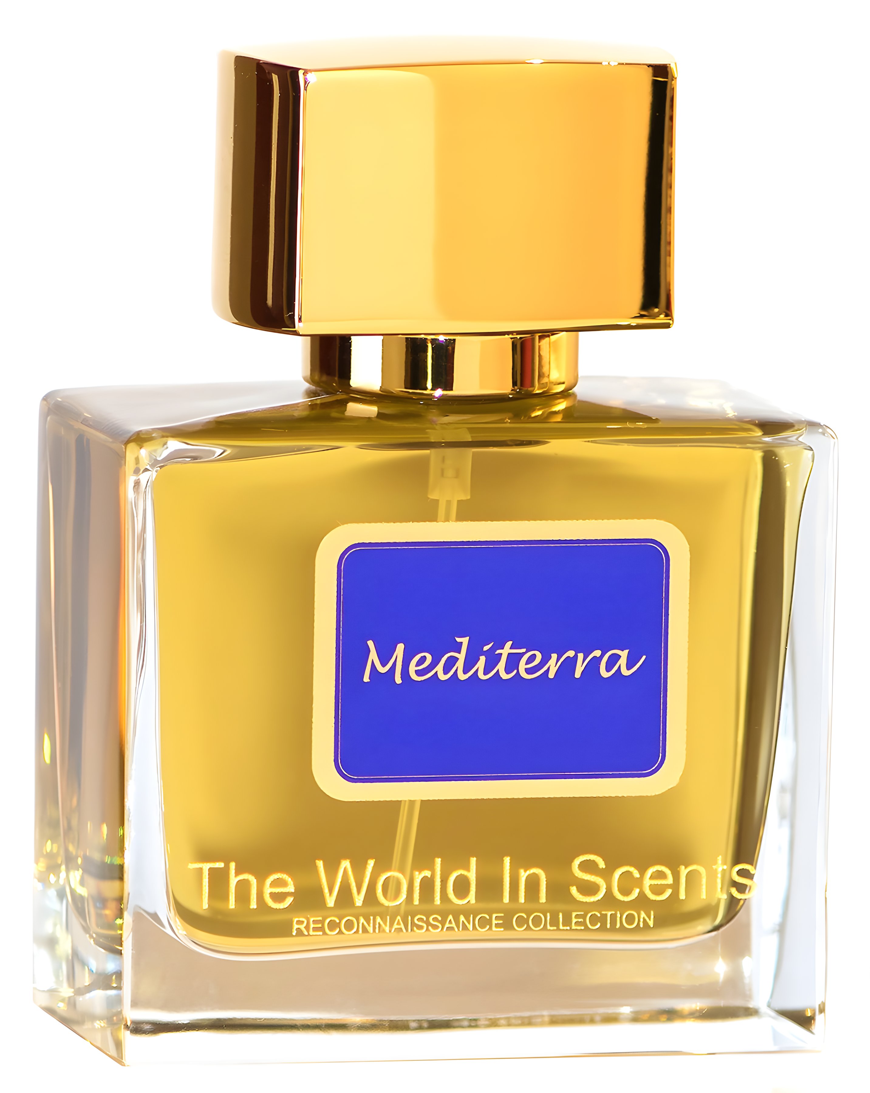 Picture of Mediterra fragrance