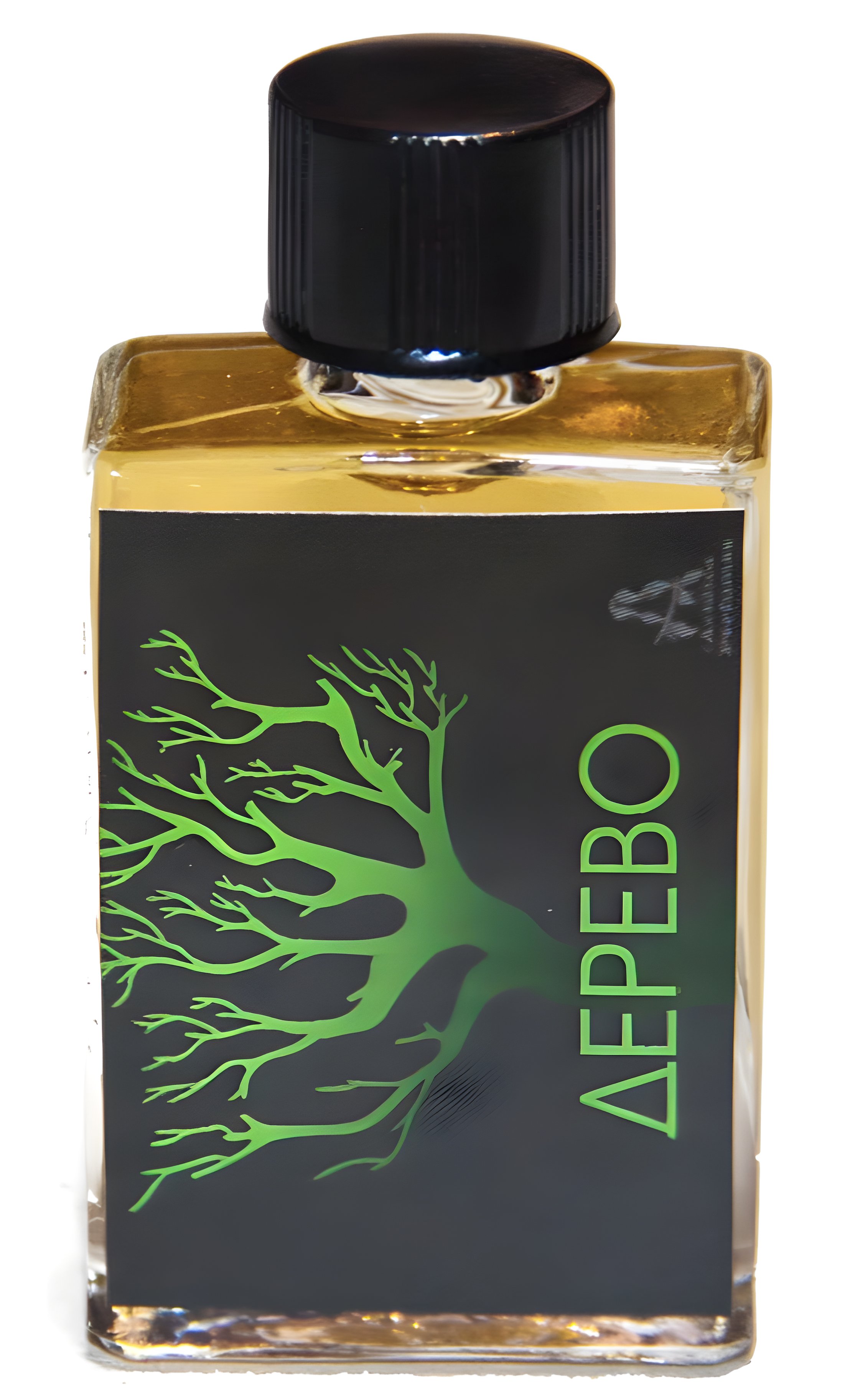 Picture of Tree (Дерево) fragrance