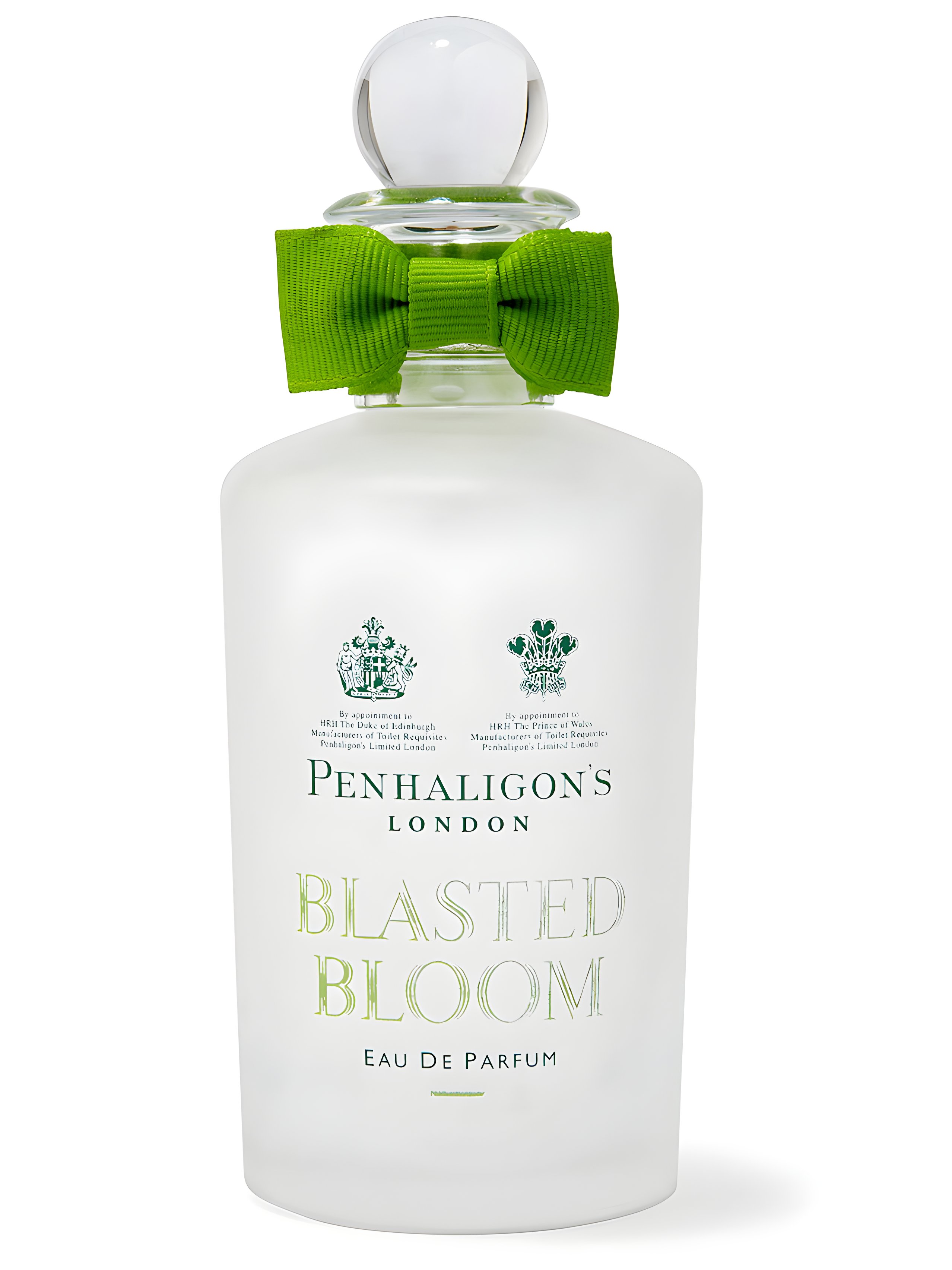 Picture of Blasted Bloom fragrance