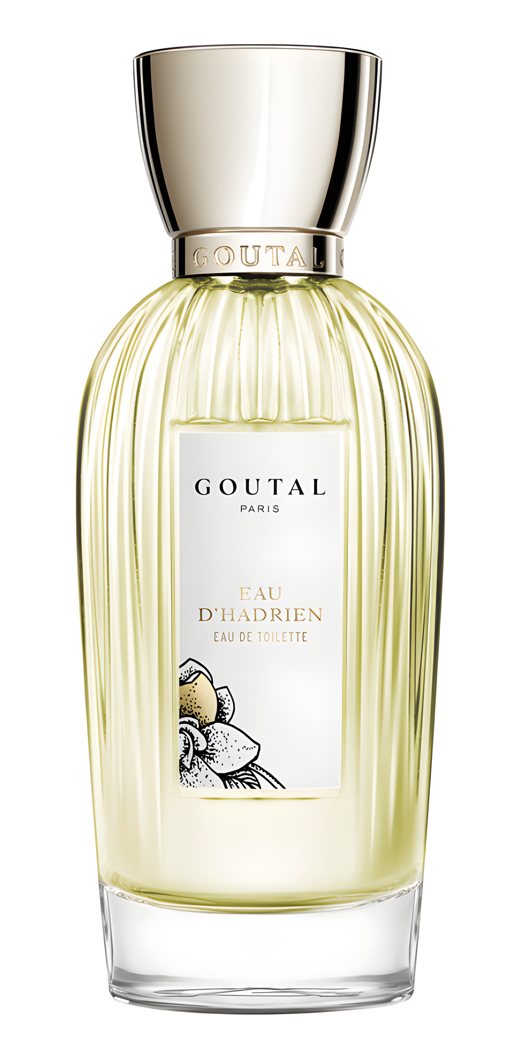 Picture of Eau d'Hadrien fragrance