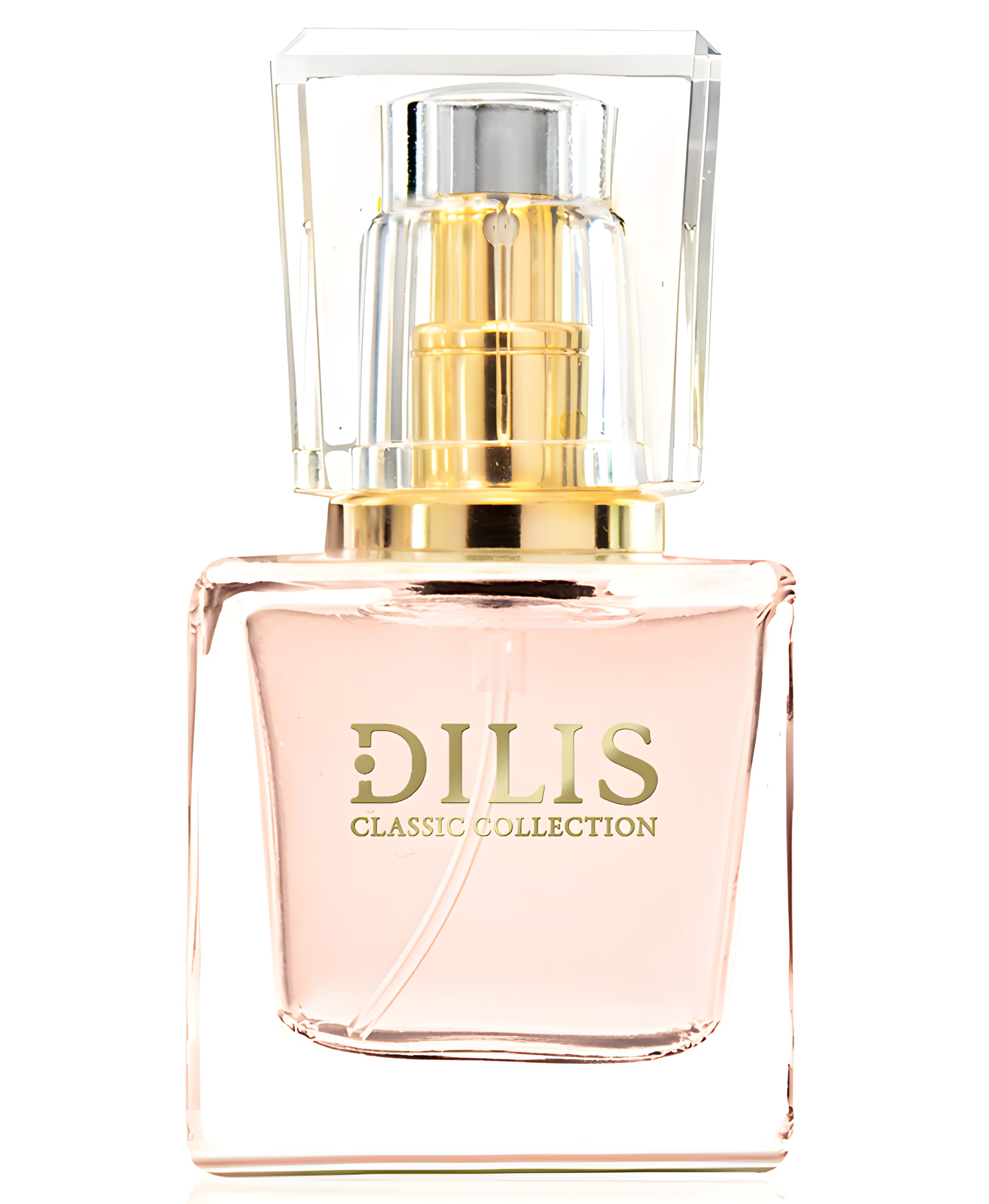 Picture of Dilis Classic Collection No. 24 fragrance