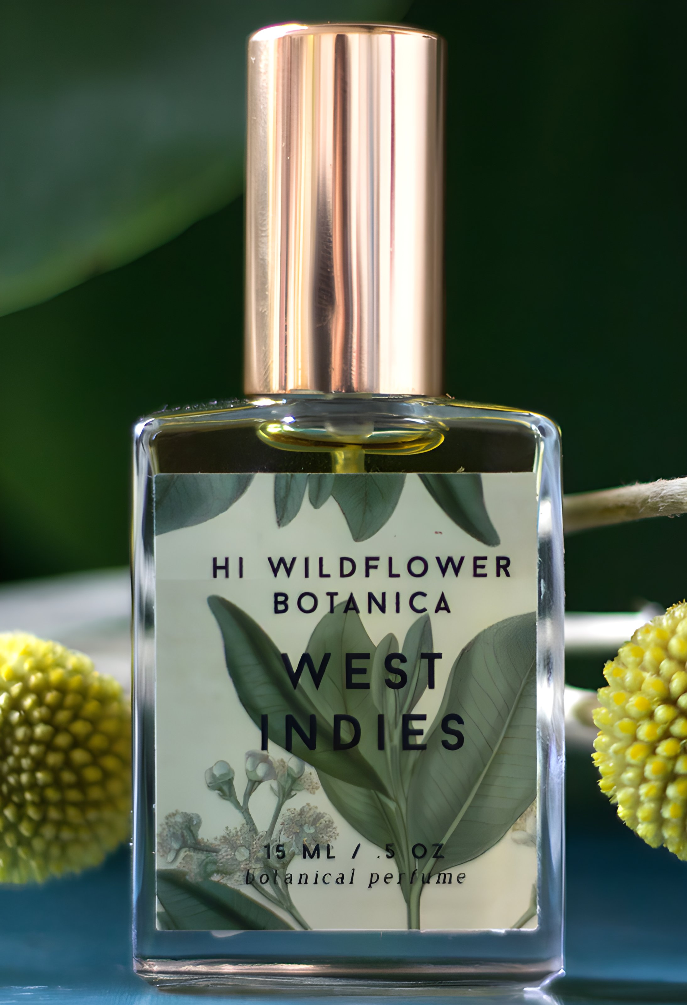 Picture of West Indies fragrance