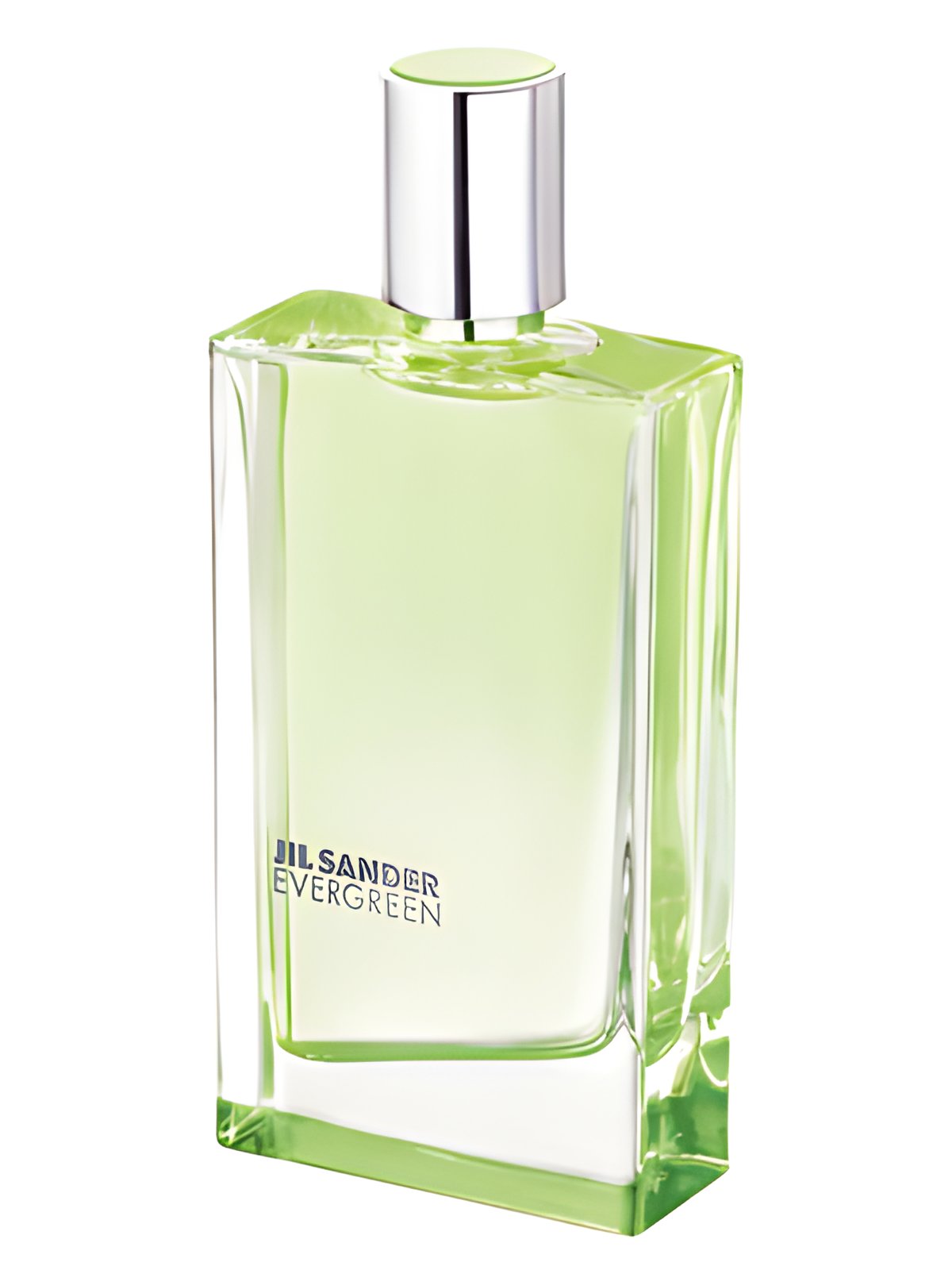 Picture of Evergreen fragrance