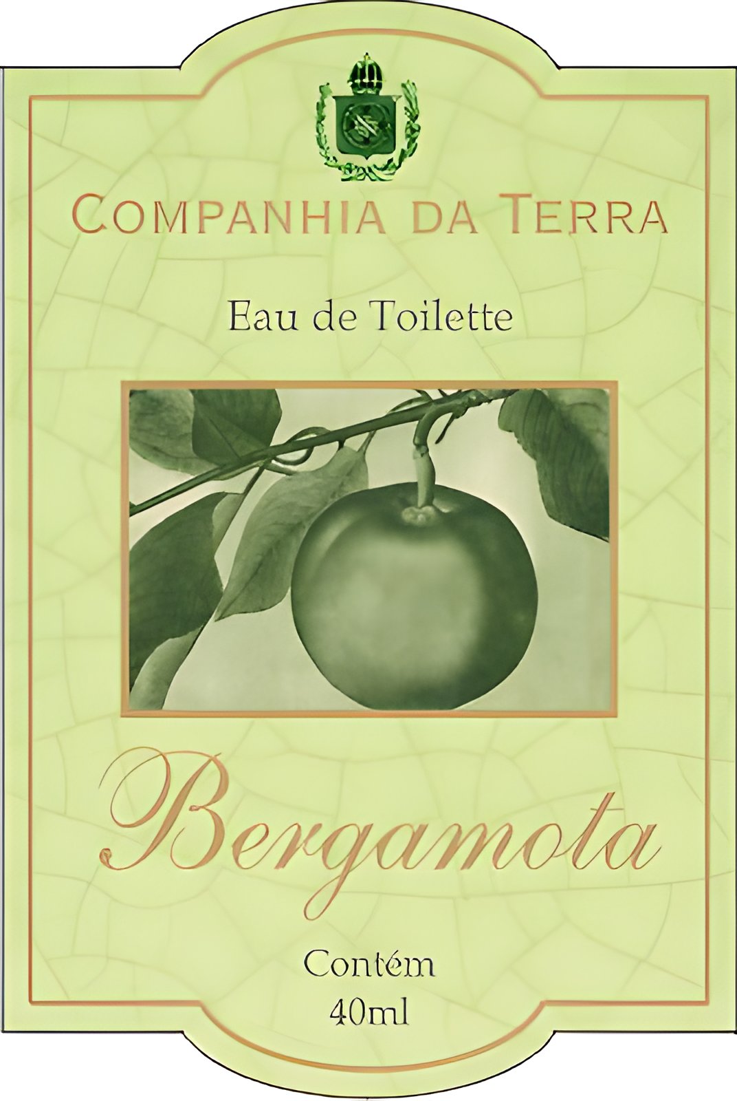 Picture of Bergamota fragrance