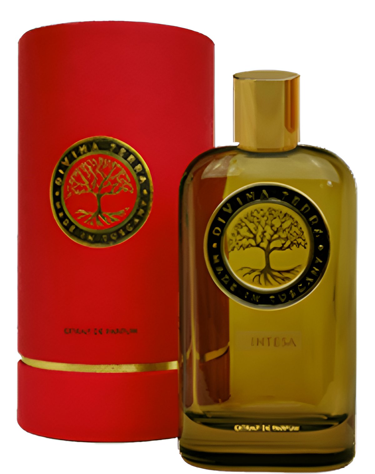 Picture of 07 Intesa fragrance