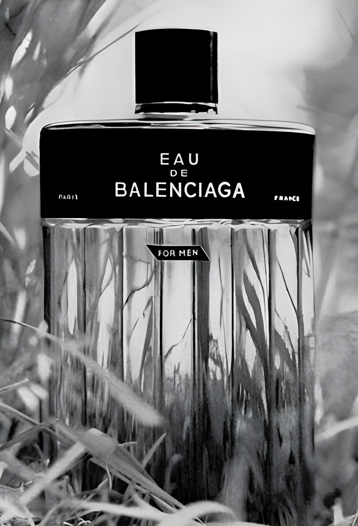 Picture of Eau de Balenciaga fragrance