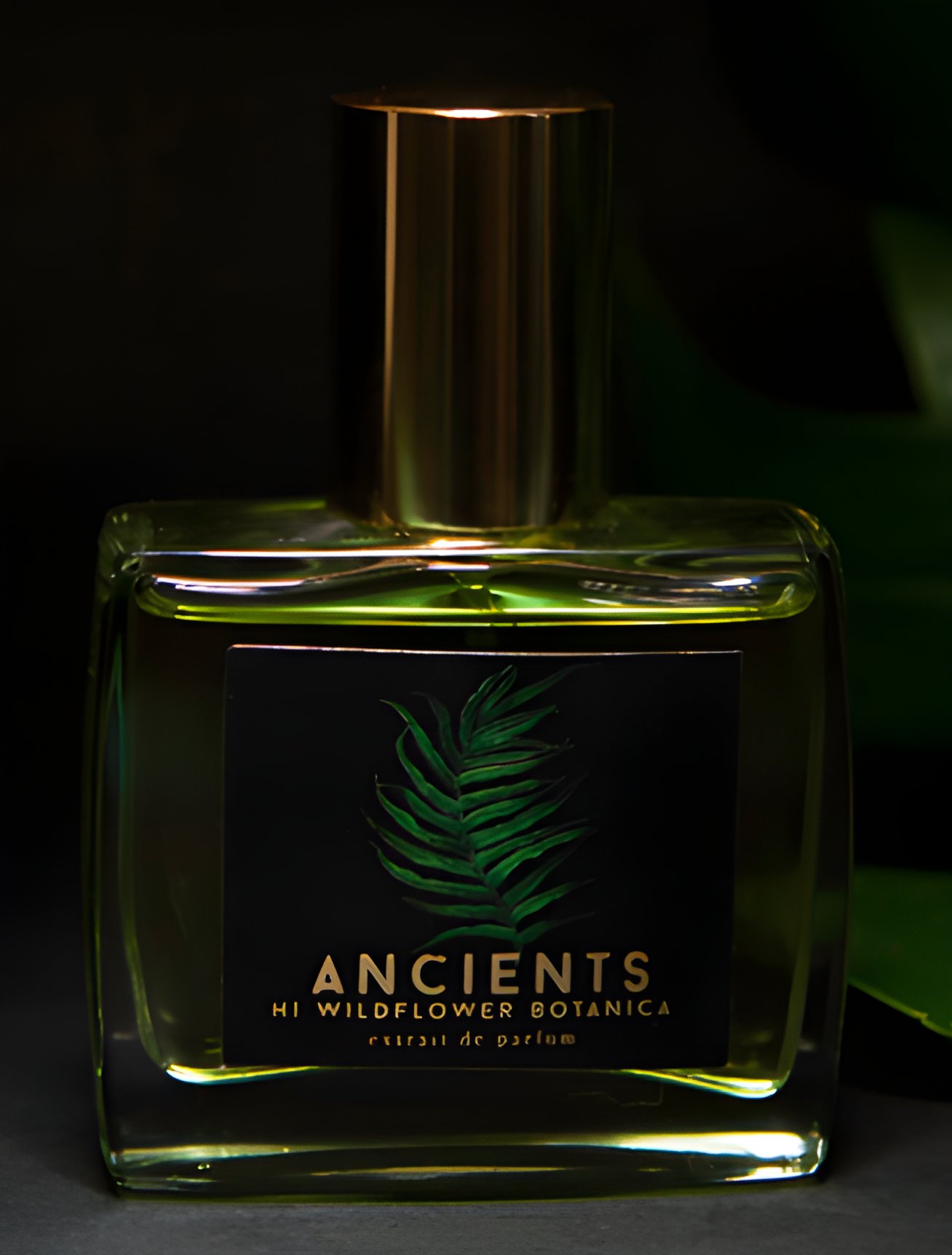 Picture of Ancients fragrance