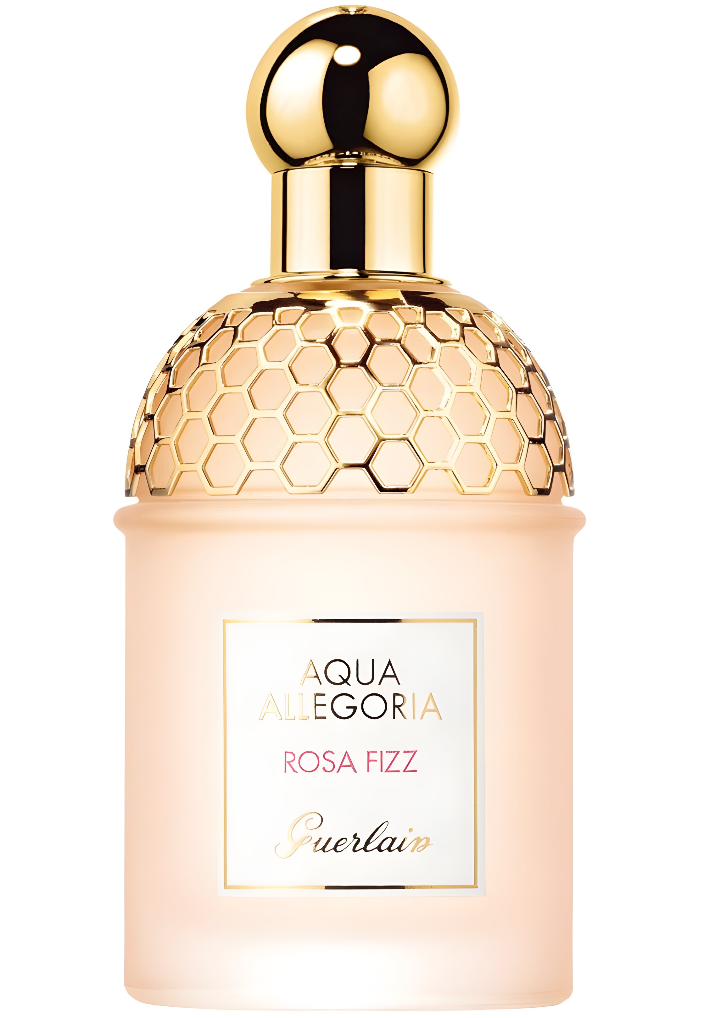 Picture of Aqua Allegoria Rosa Fizz fragrance