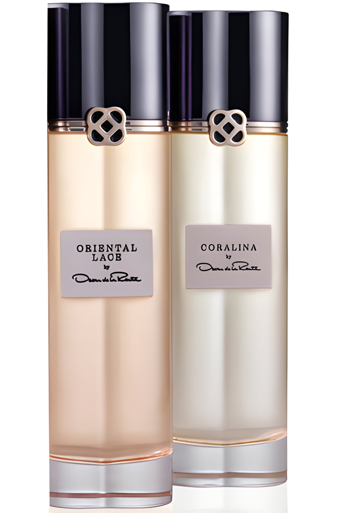 Picture of Coralina fragrance