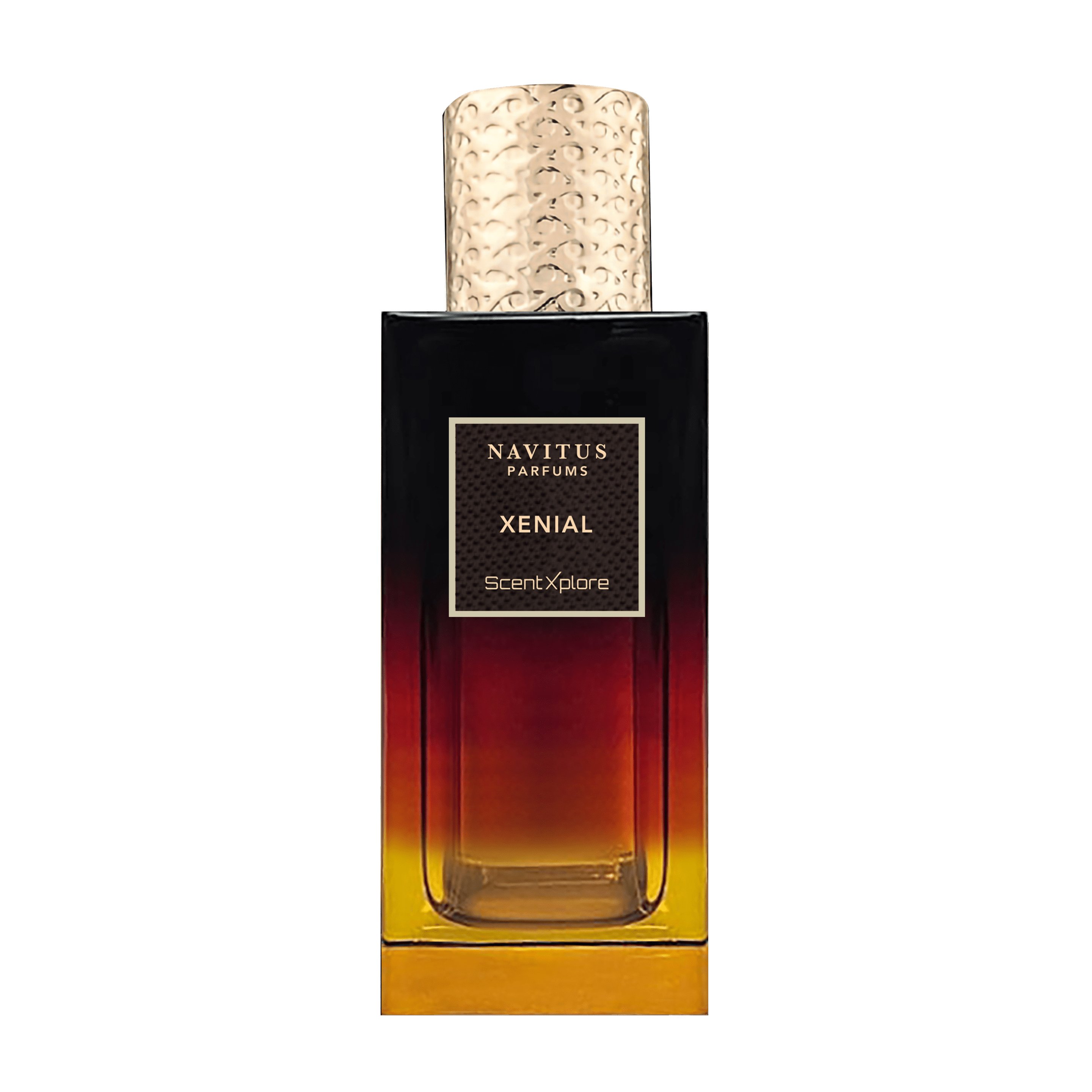 Picture of Xenial fragrance