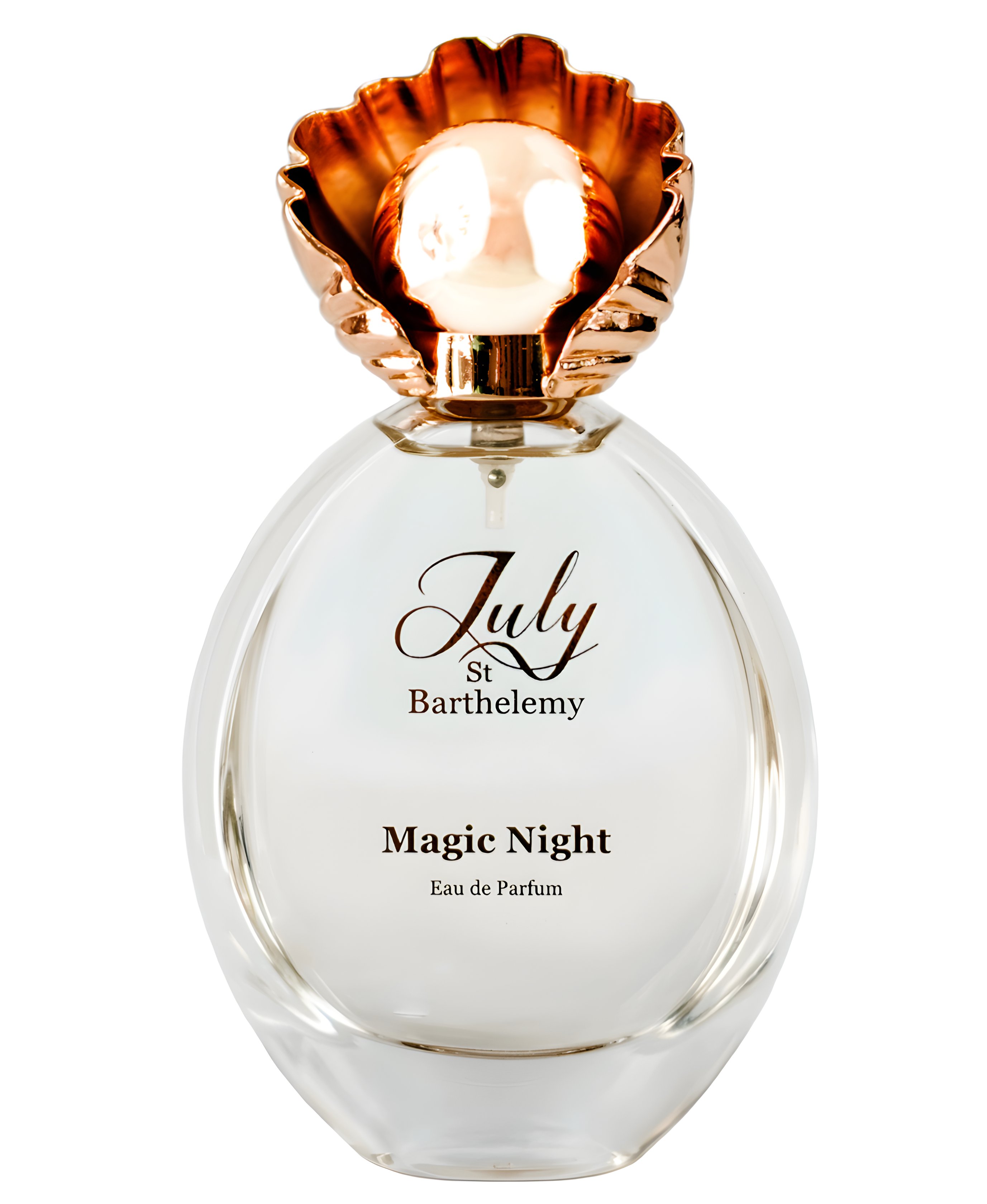 Picture of Magic Night fragrance