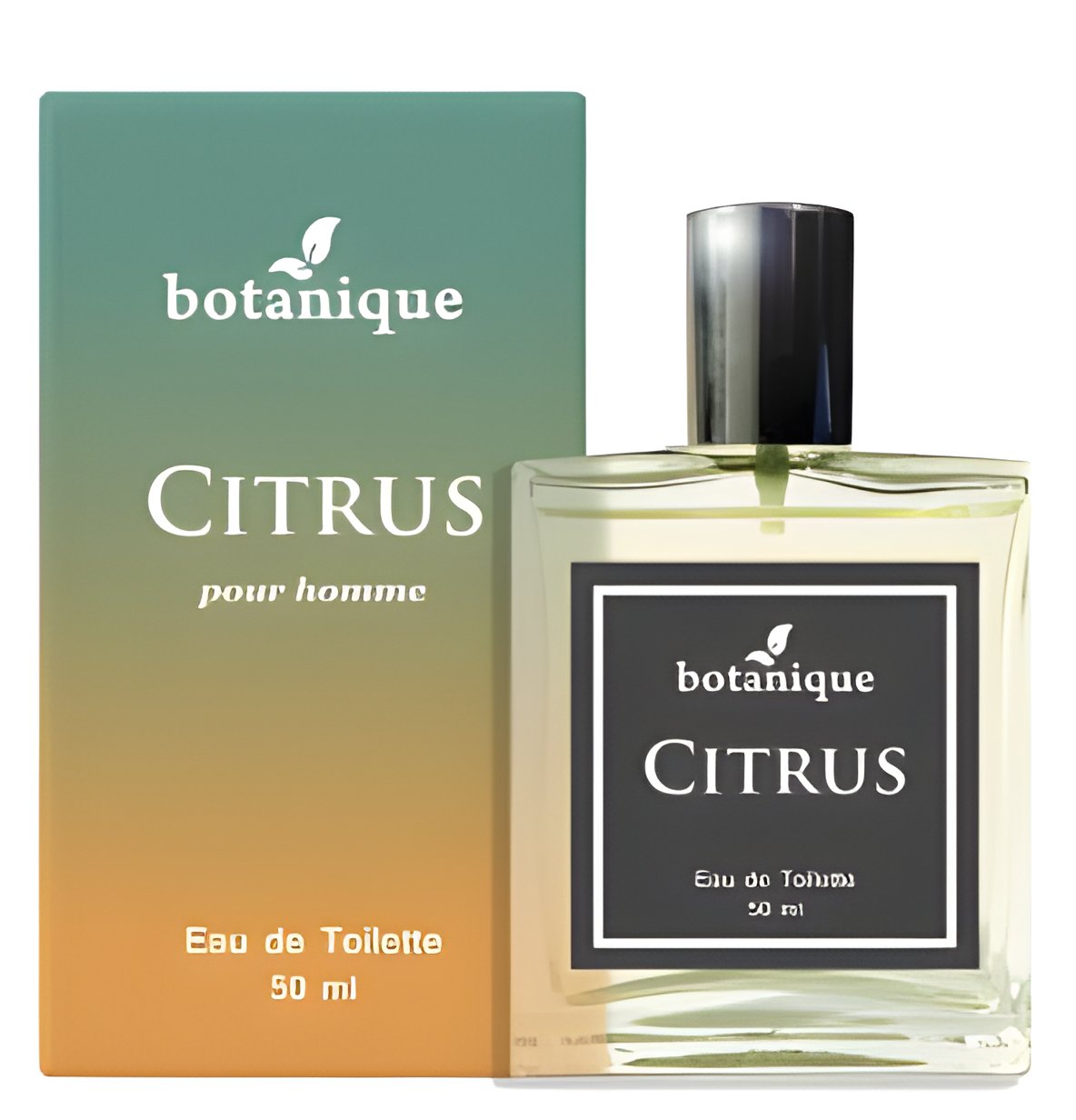 Picture of Citrus fragrance