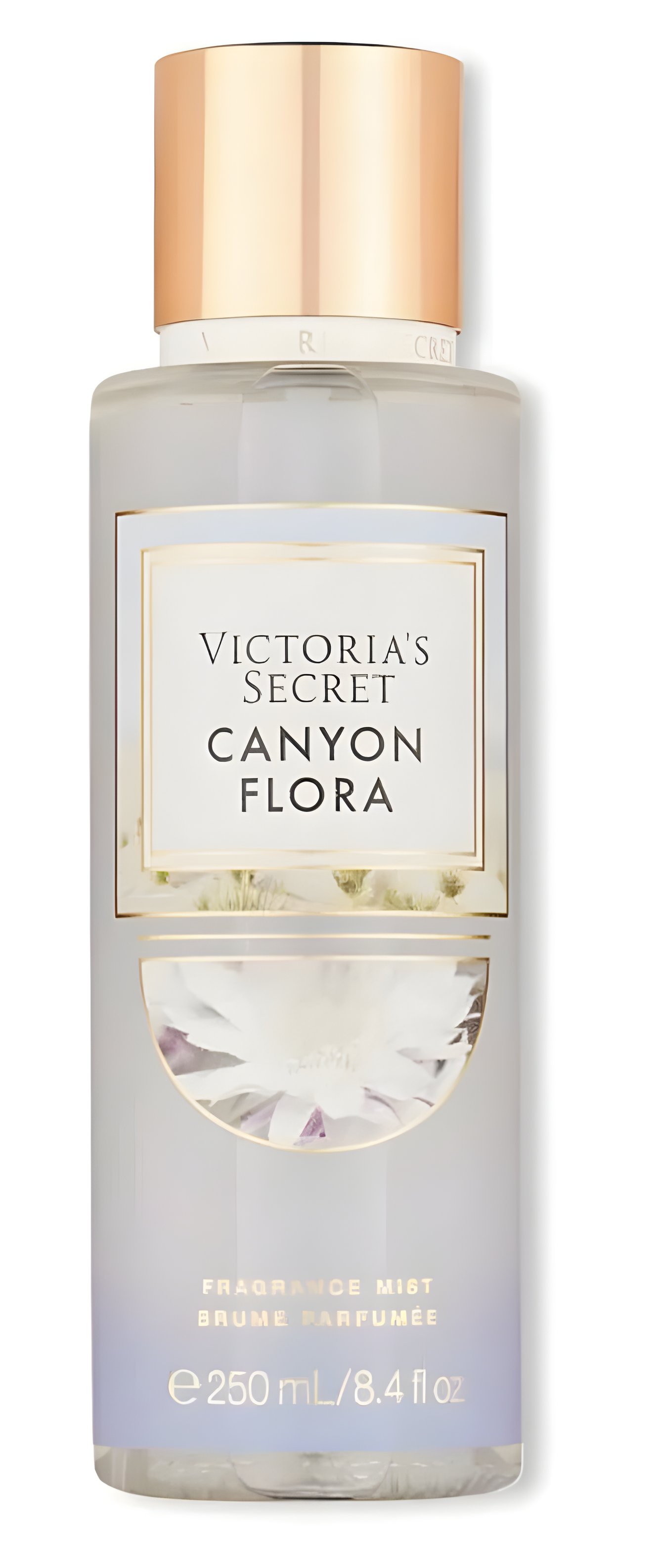 Picture of Canyon Flora fragrance