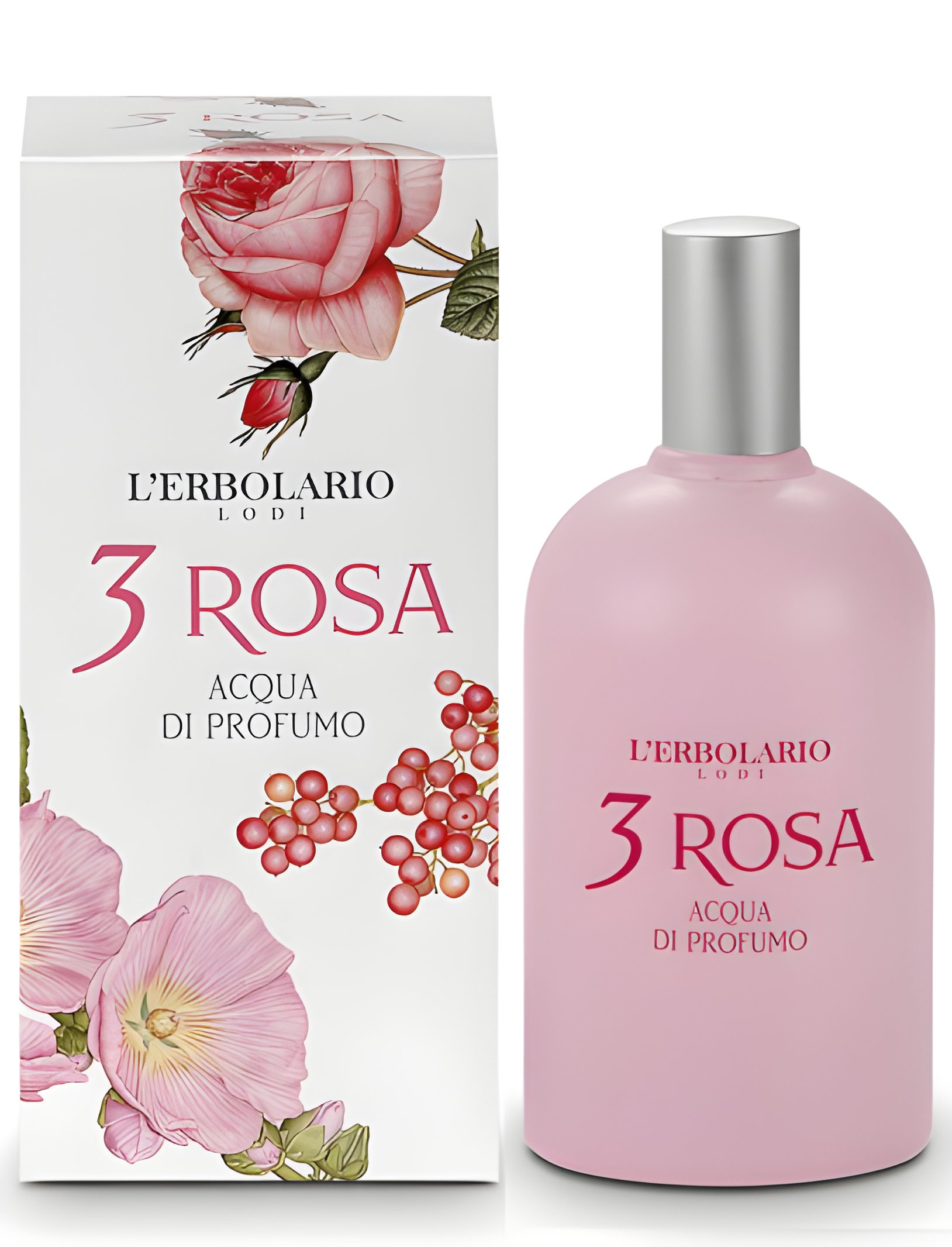 Picture of 3 Rosa fragrance