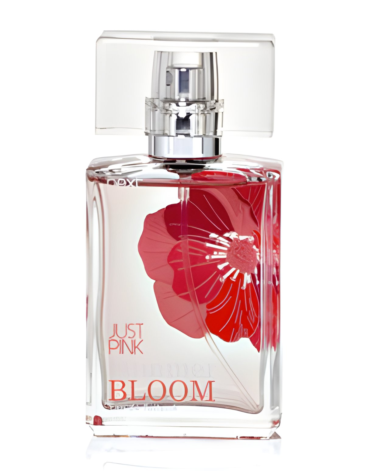 Picture of Just Pink Bloom fragrance