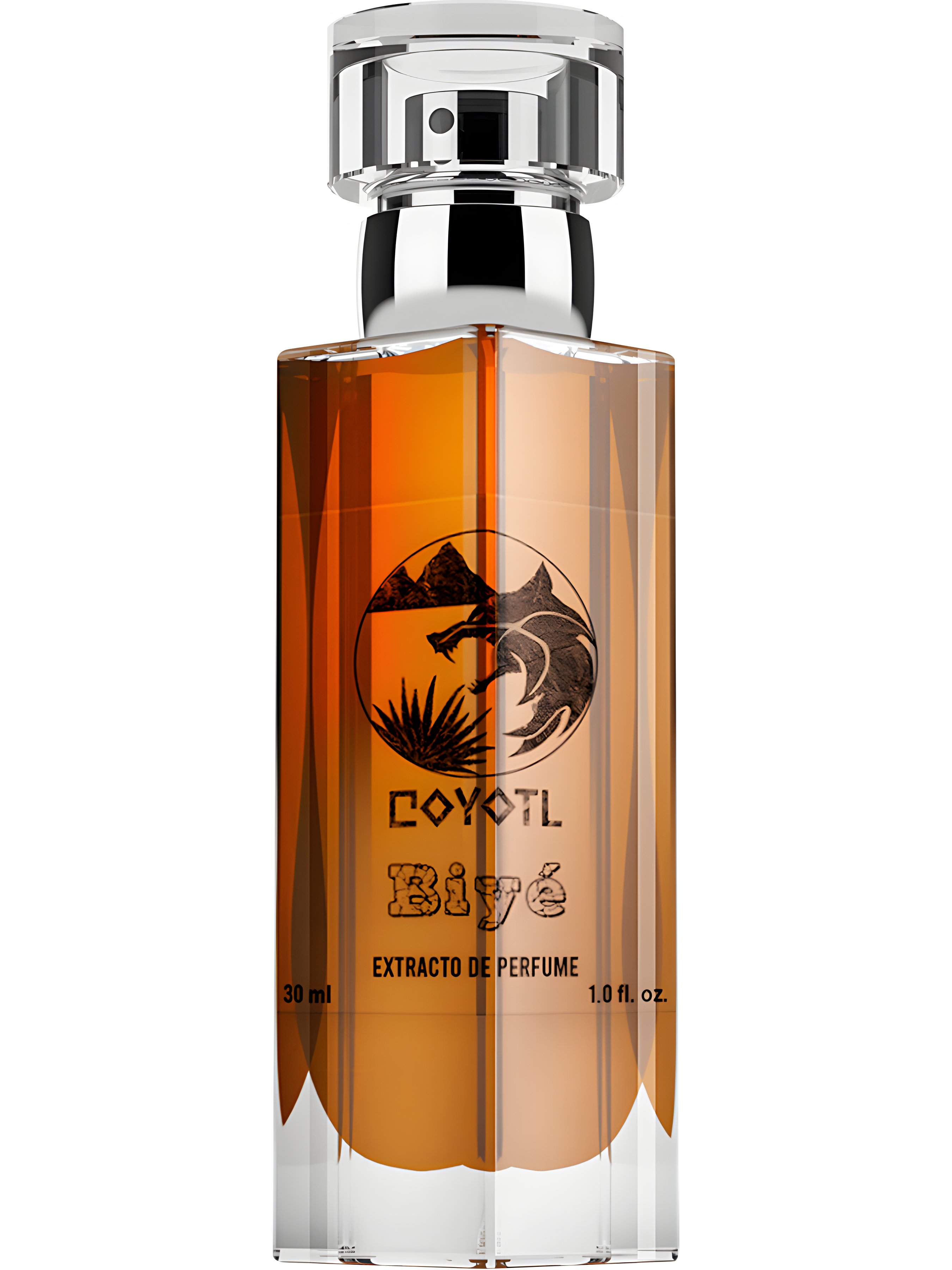 Picture of Biyé fragrance