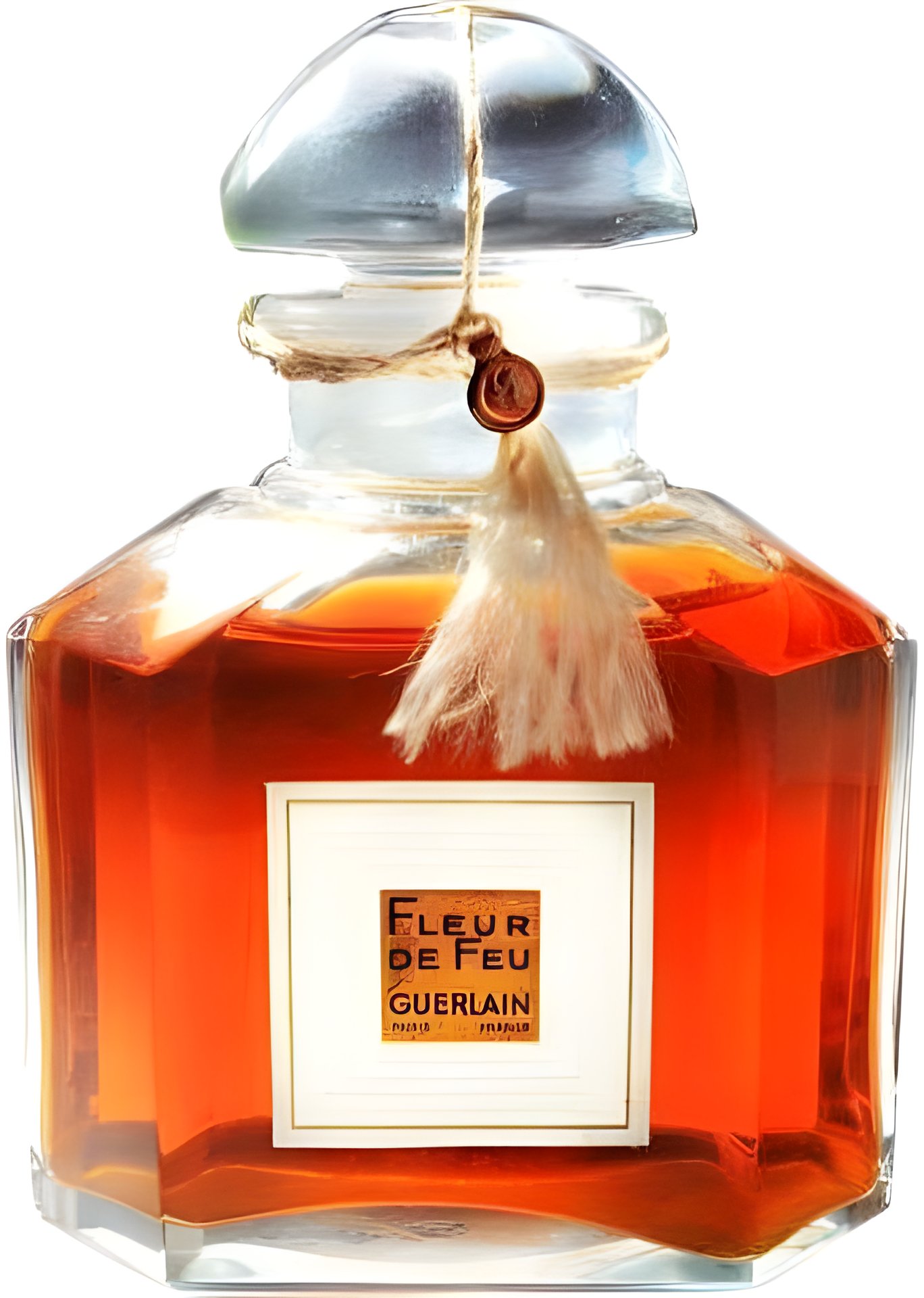 Picture of Fleur de Feu fragrance