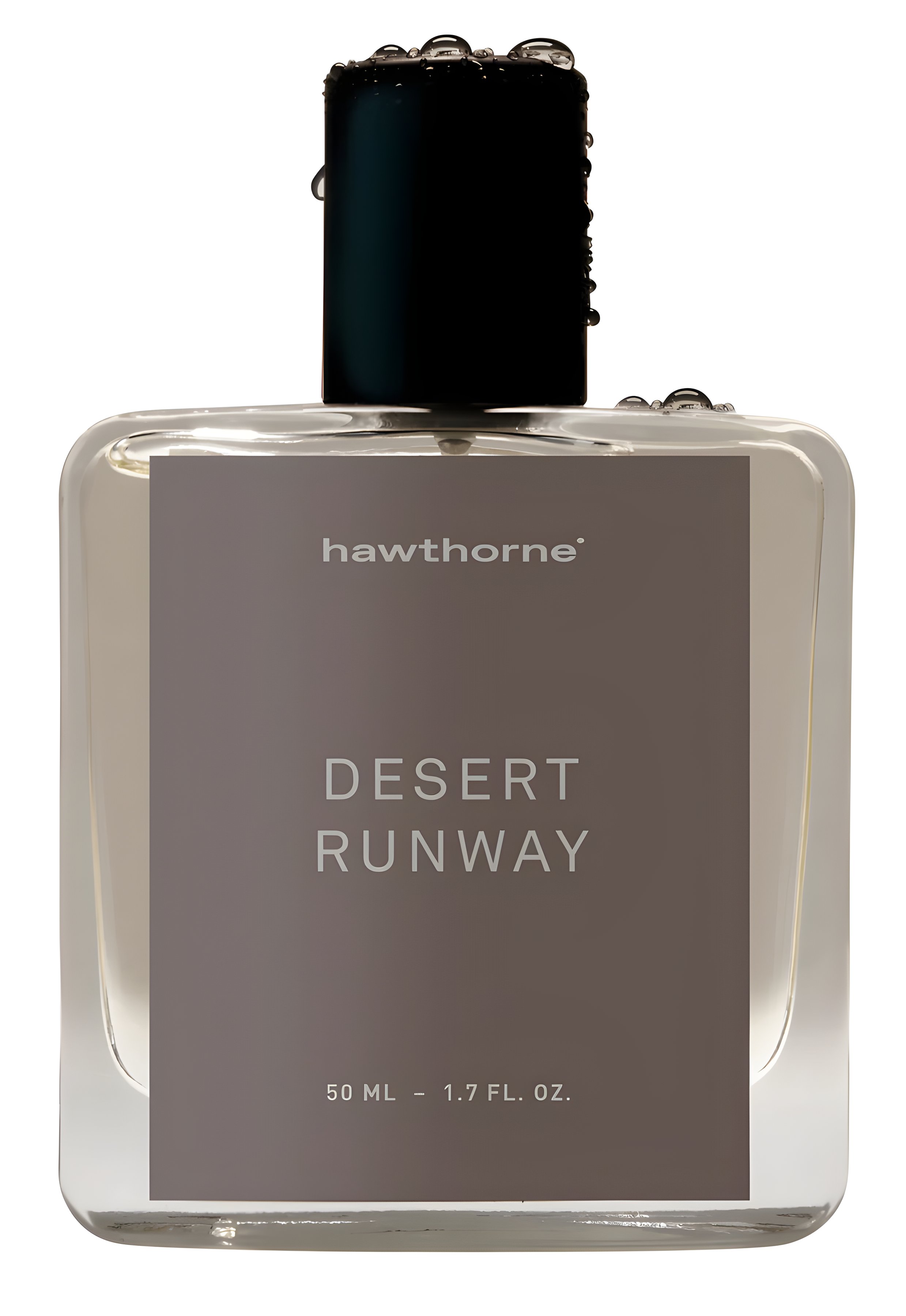 Picture of Desert Runway fragrance