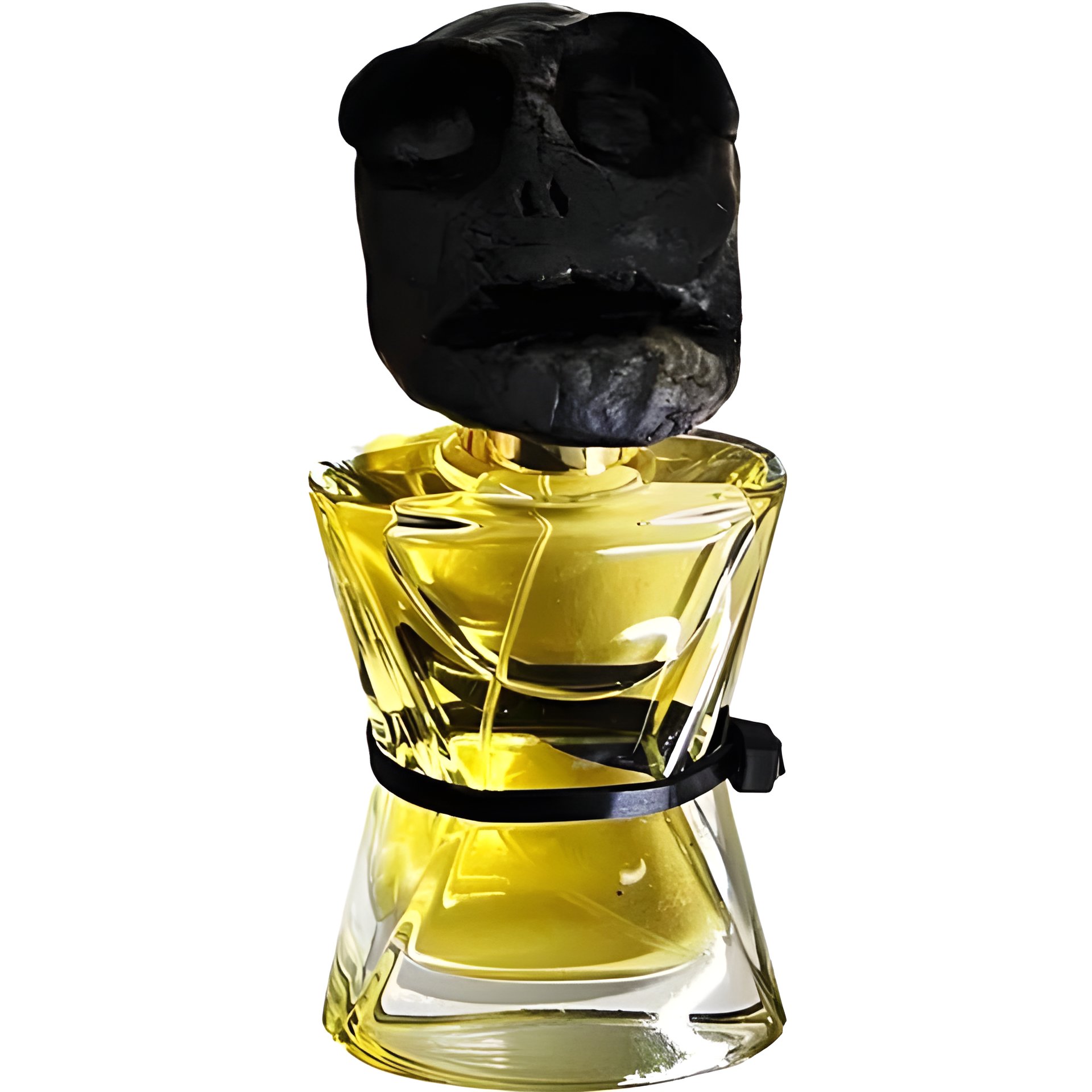 Picture of Monsieur Chypre Holistique fragrance