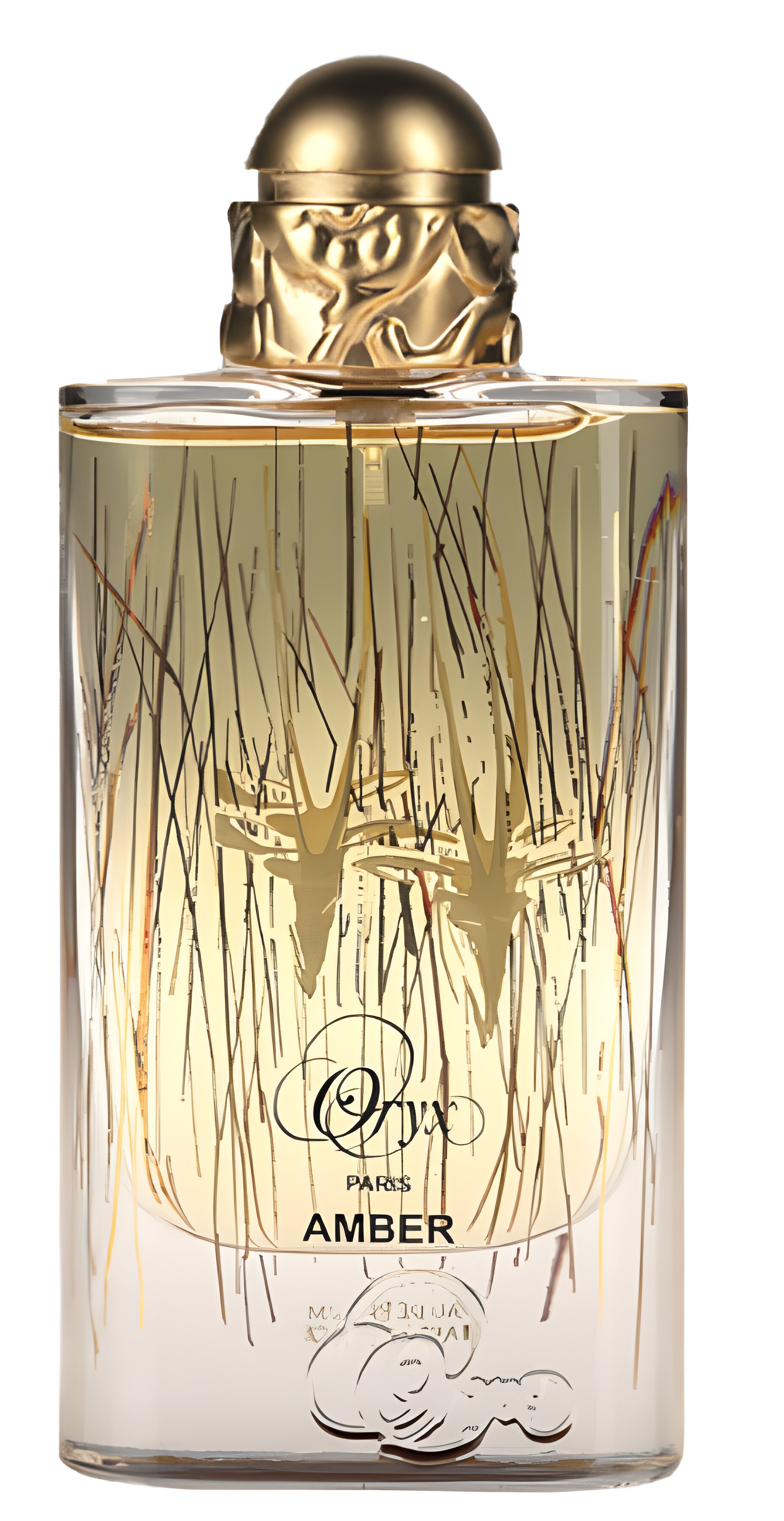 Picture of Oryx Amber fragrance