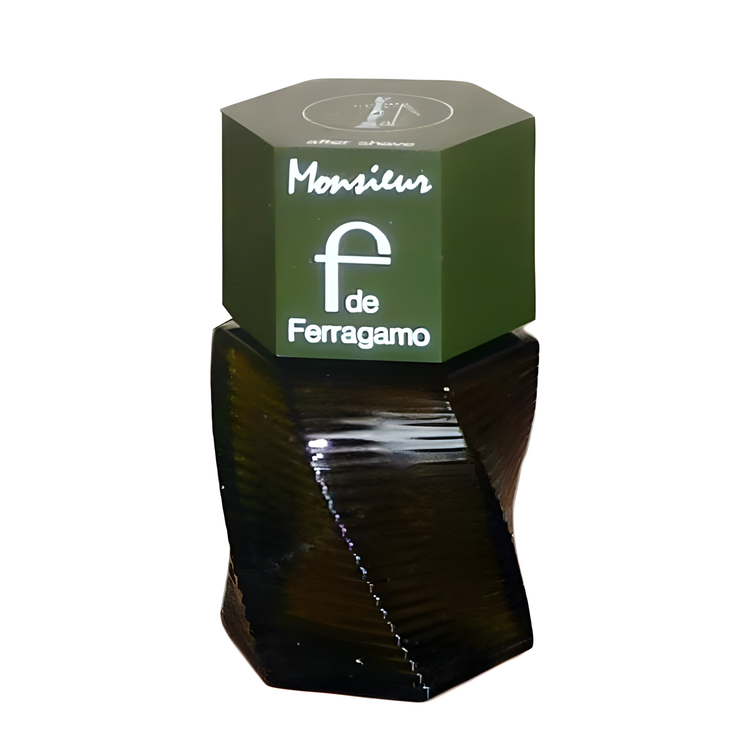 Picture of Monsieur F de Ferragamo fragrance