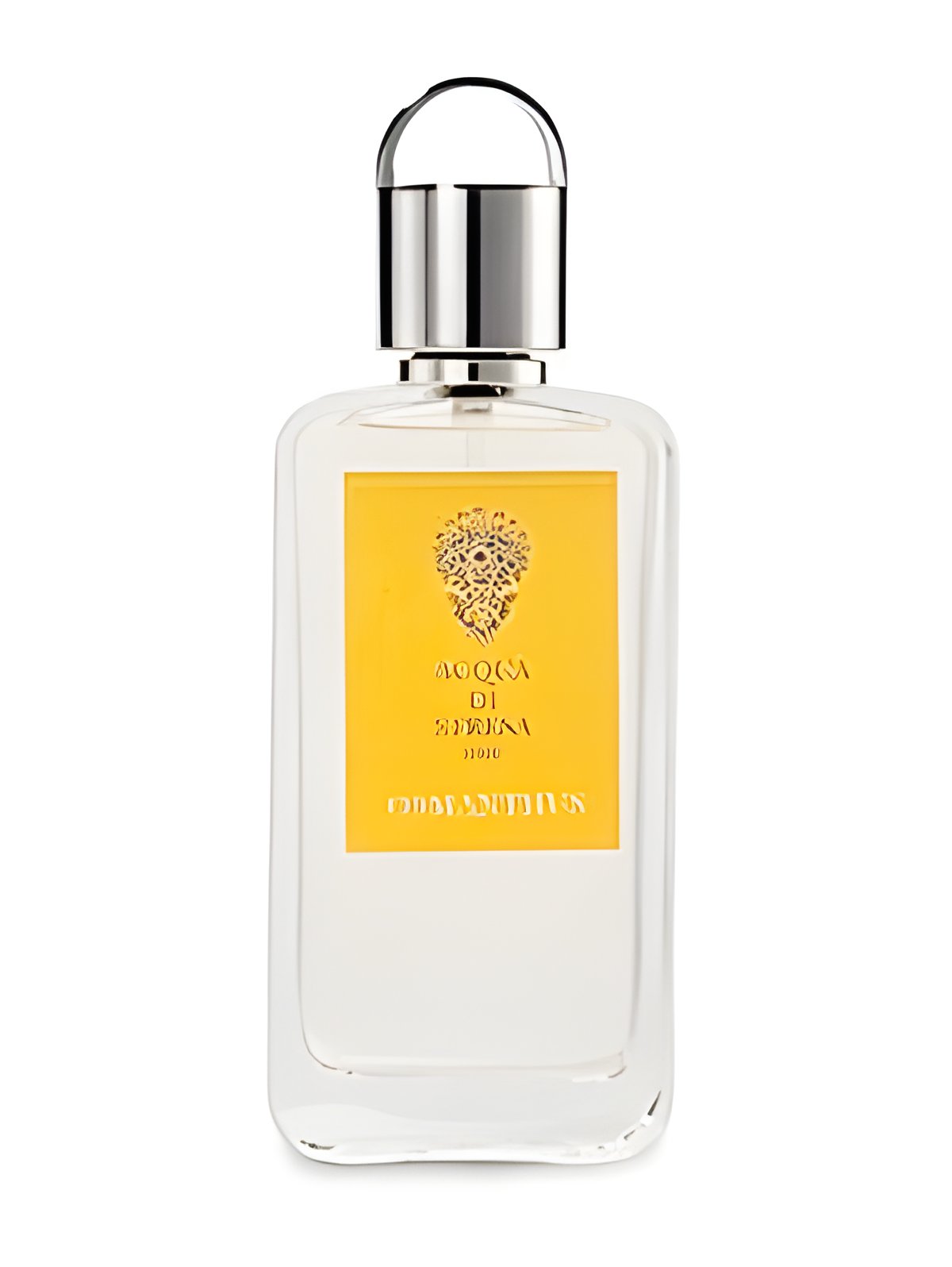 Picture of Osmanthus fragrance