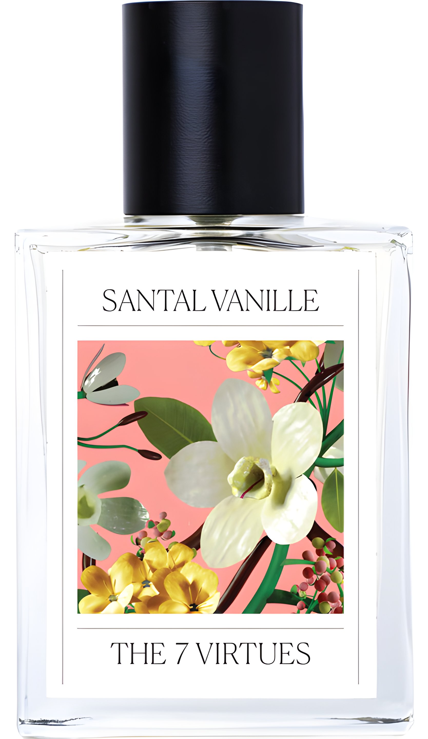 Picture of Santal Vanille fragrance