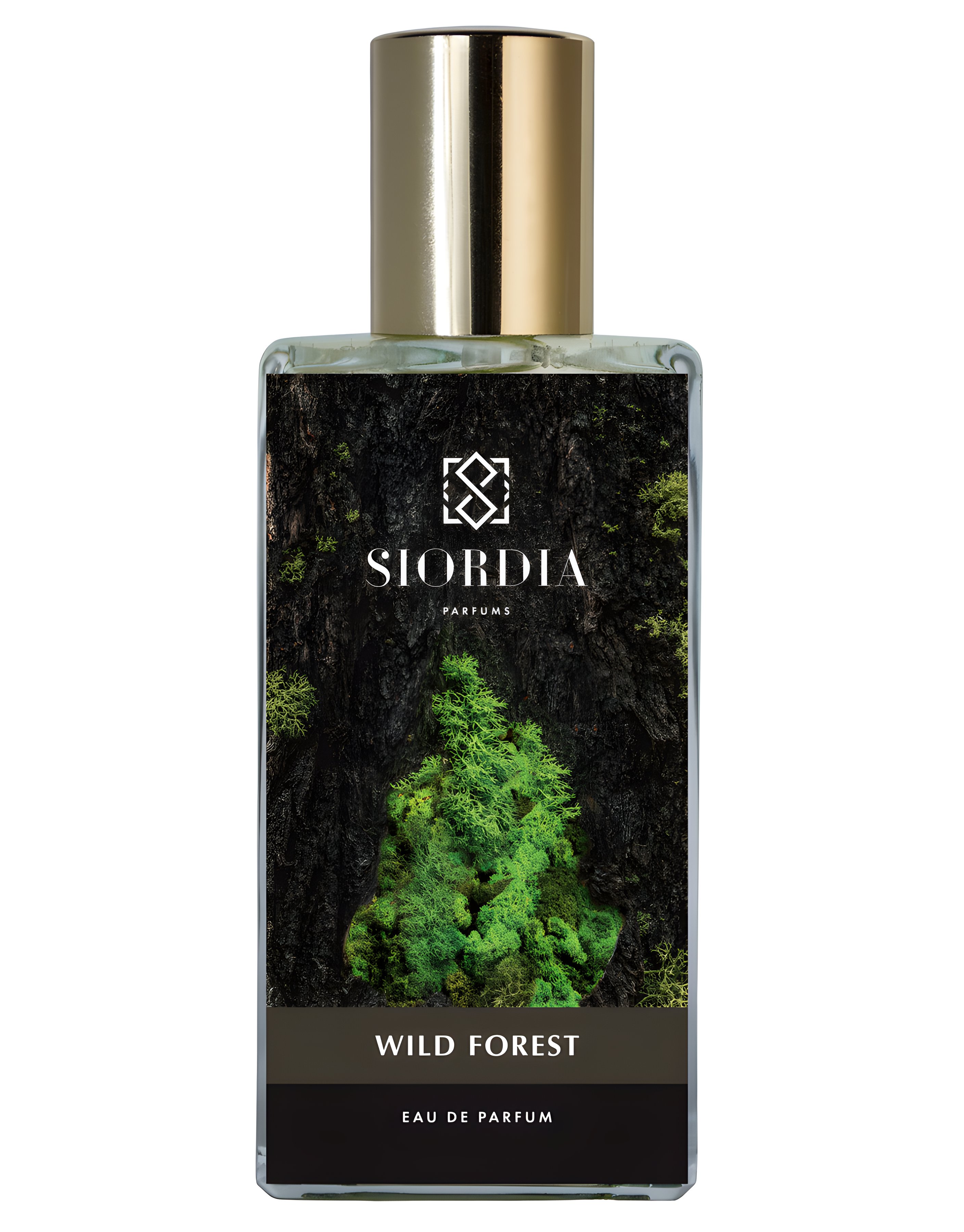 Picture of Wild Forest fragrance