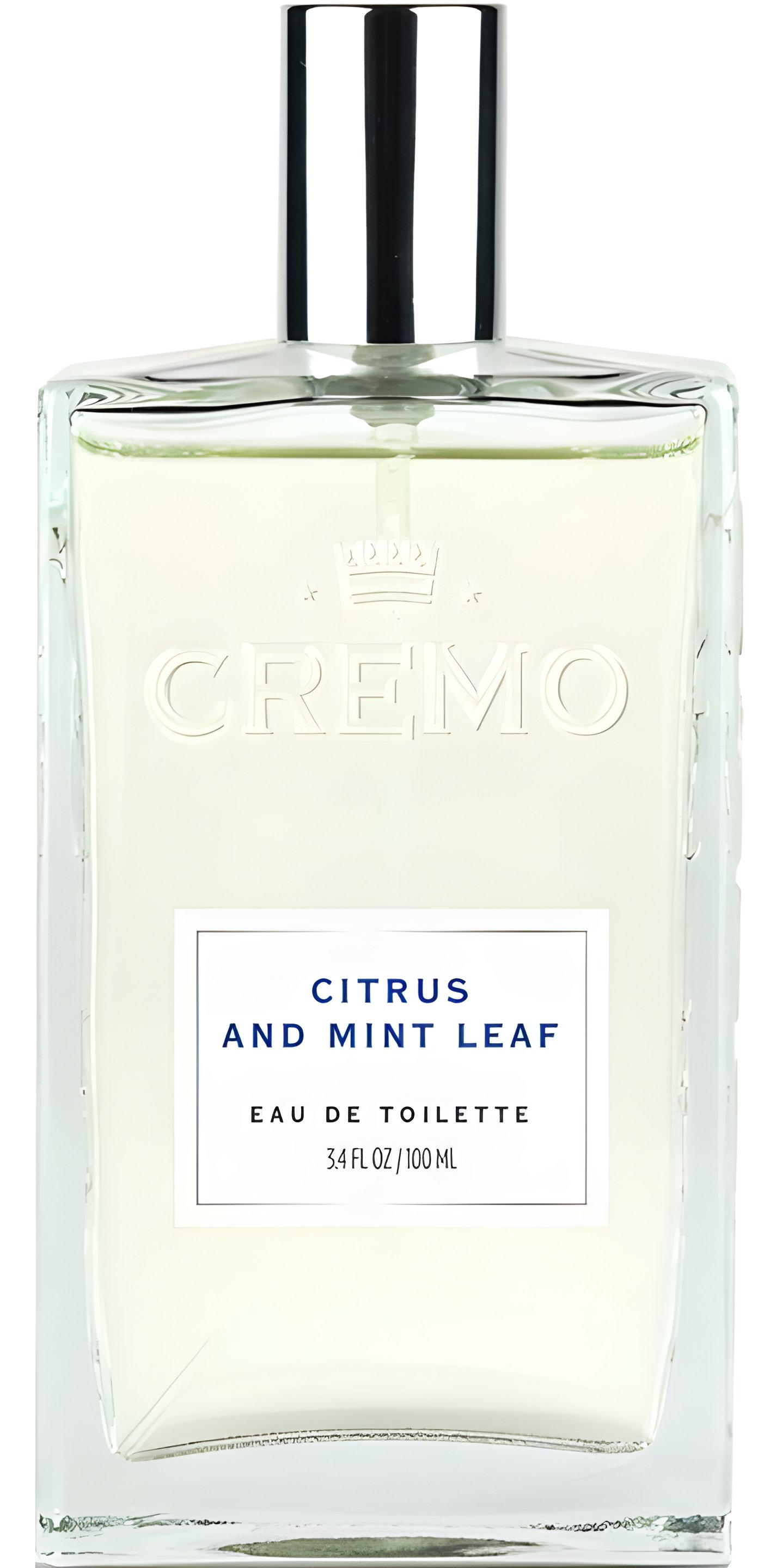 Picture of Citrus and Mint Leaf fragrance