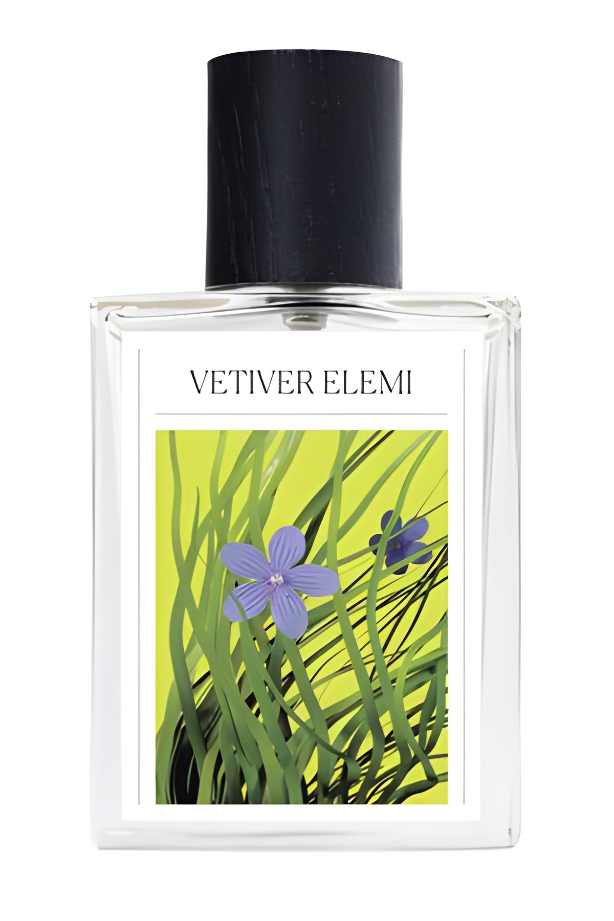 Picture of Vetiver Elemi fragrance