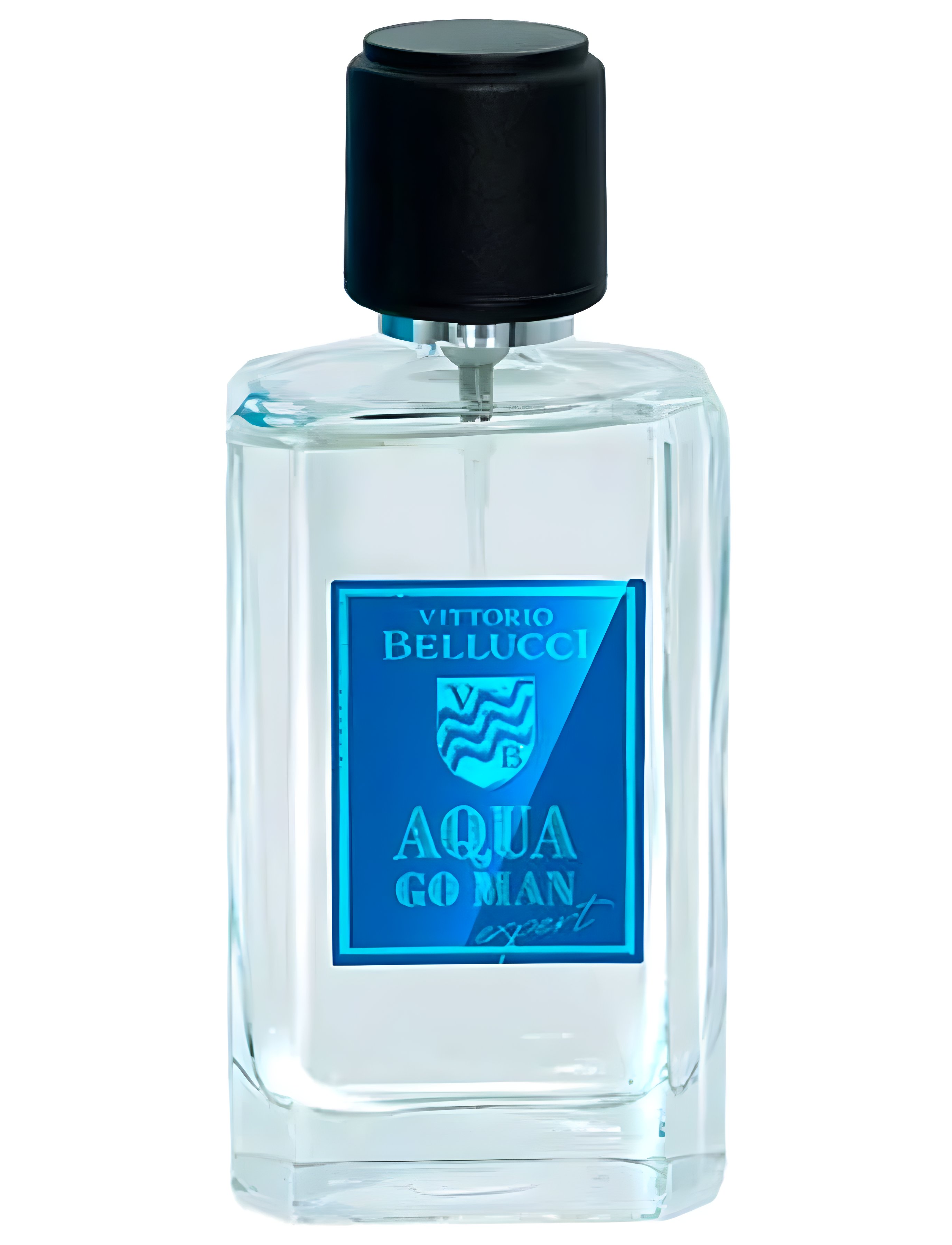 Picture of Aqua Go Man Expert fragrance