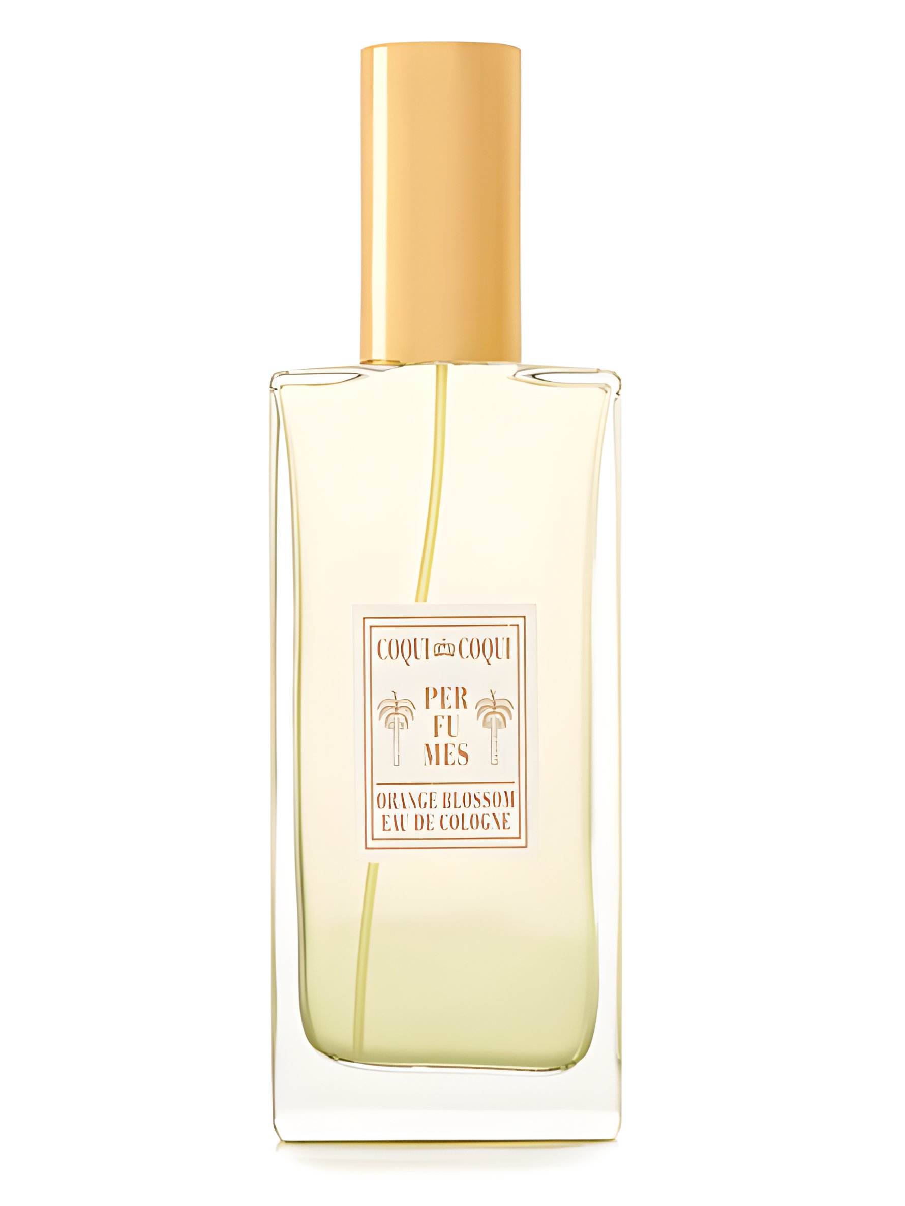 Picture of Flor de Naranjo fragrance