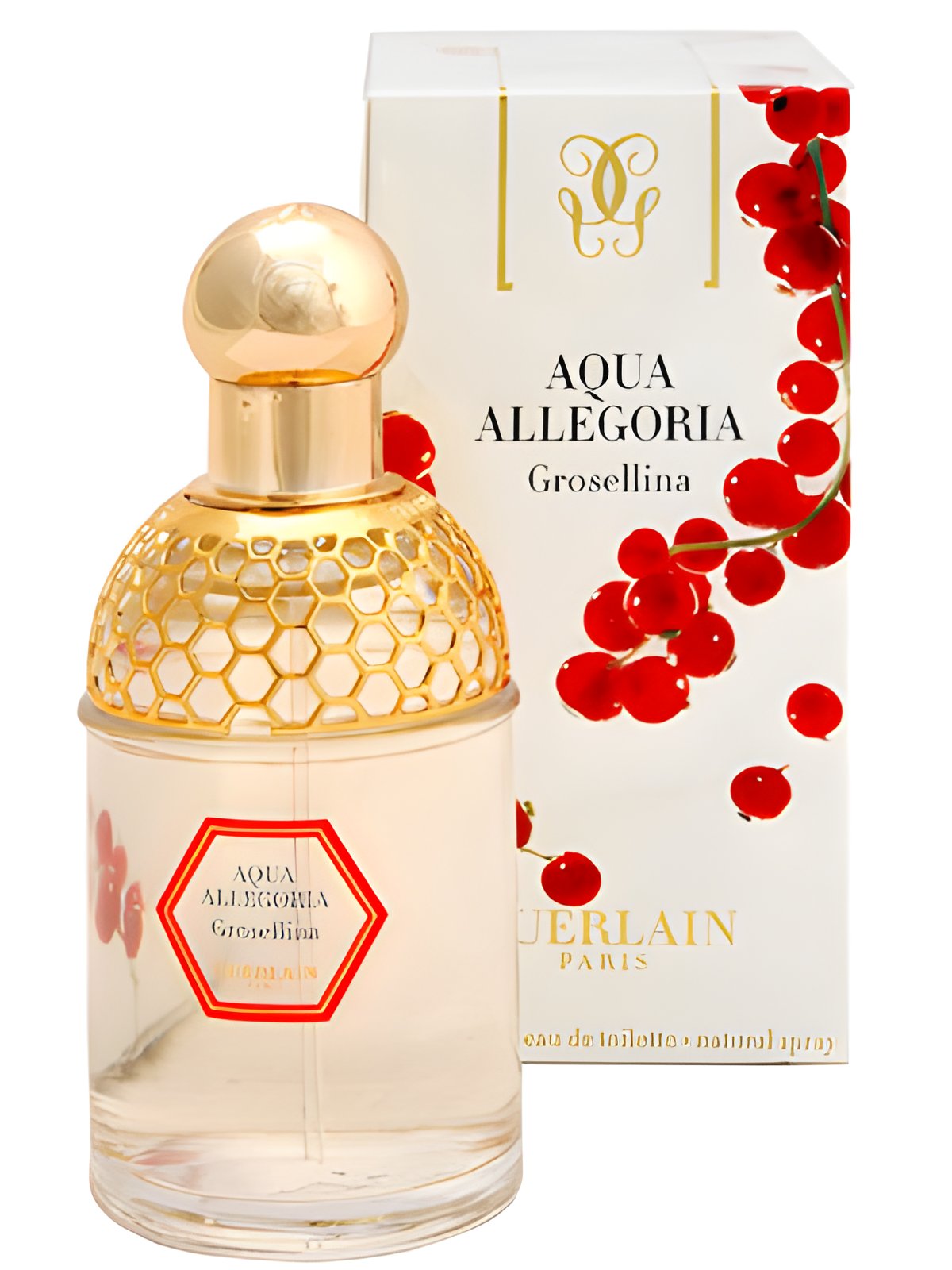 Picture of Aqua Allegoria Grosellina fragrance