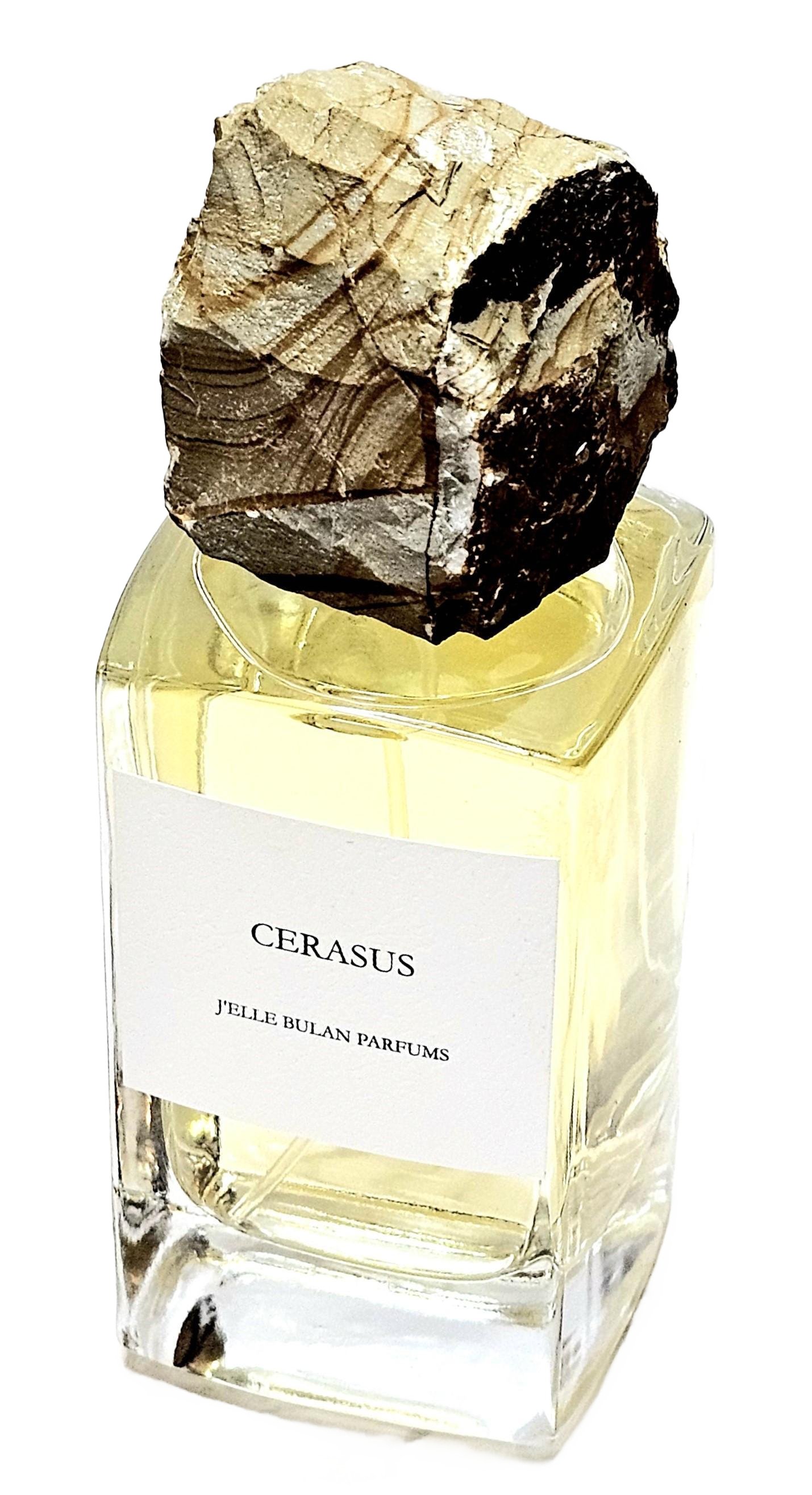 Picture of Cerasus fragrance