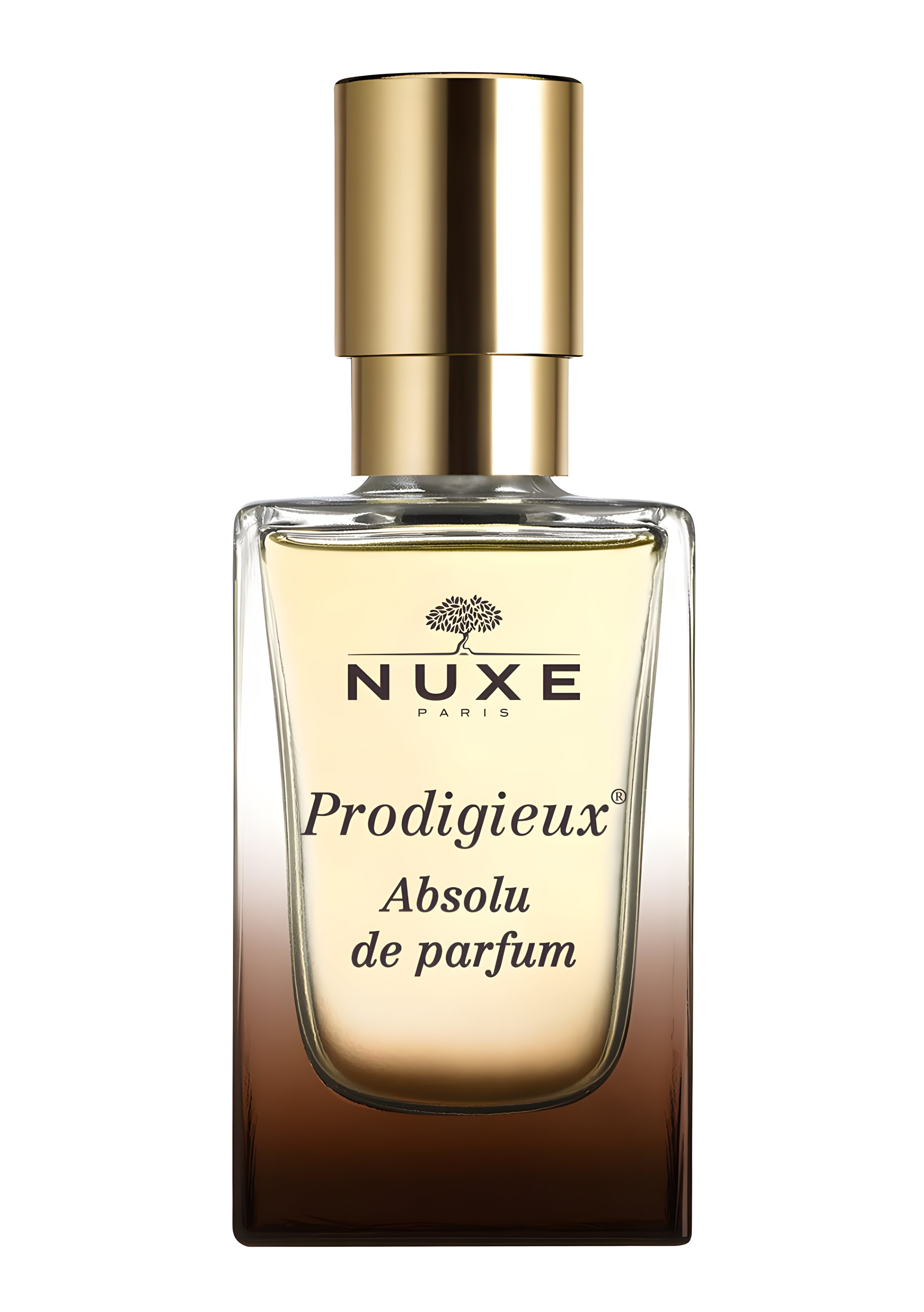 Picture of Prodigieux Absolu de Parfum fragrance