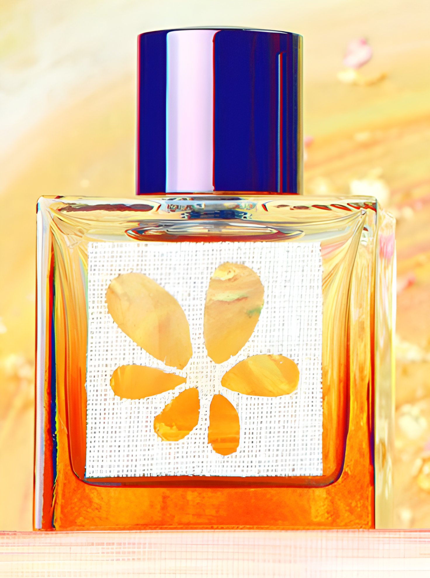 Picture of Vanille Fleur fragrance