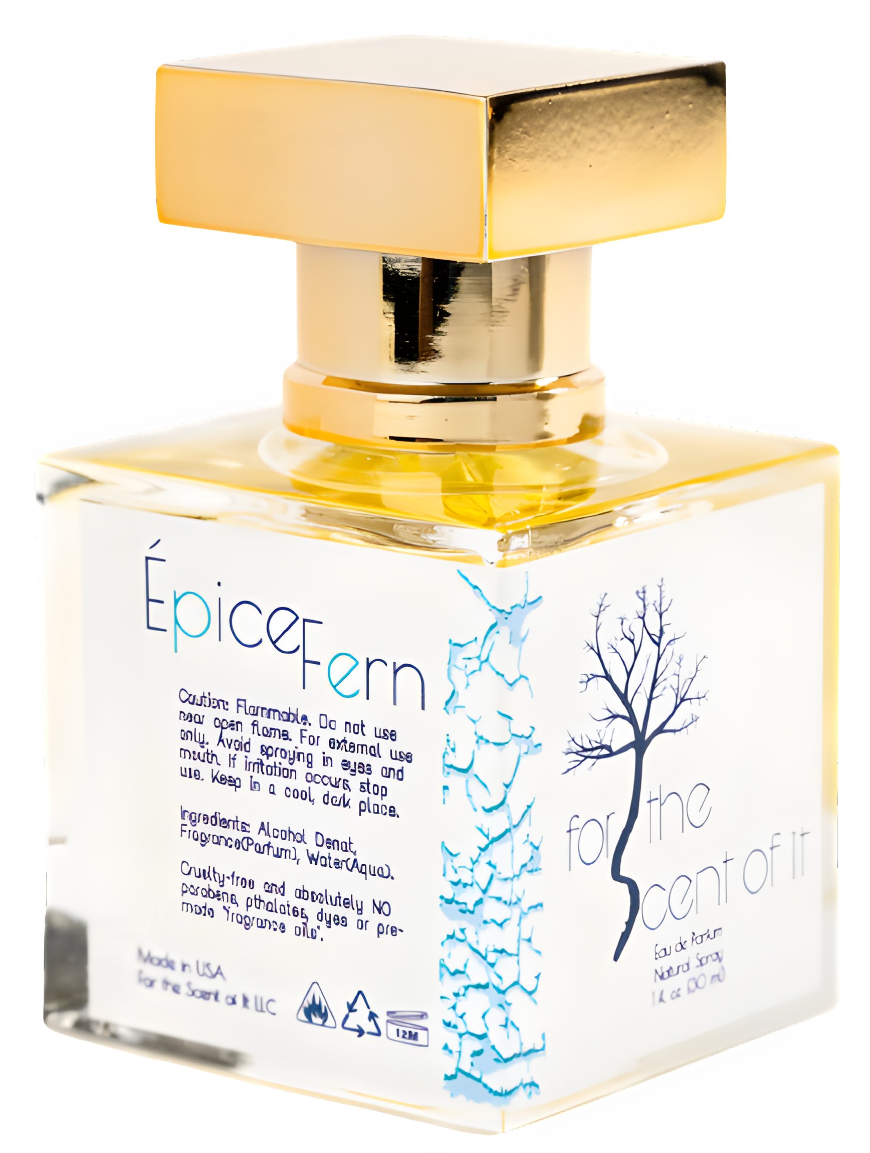 Picture of Épice Fern fragrance