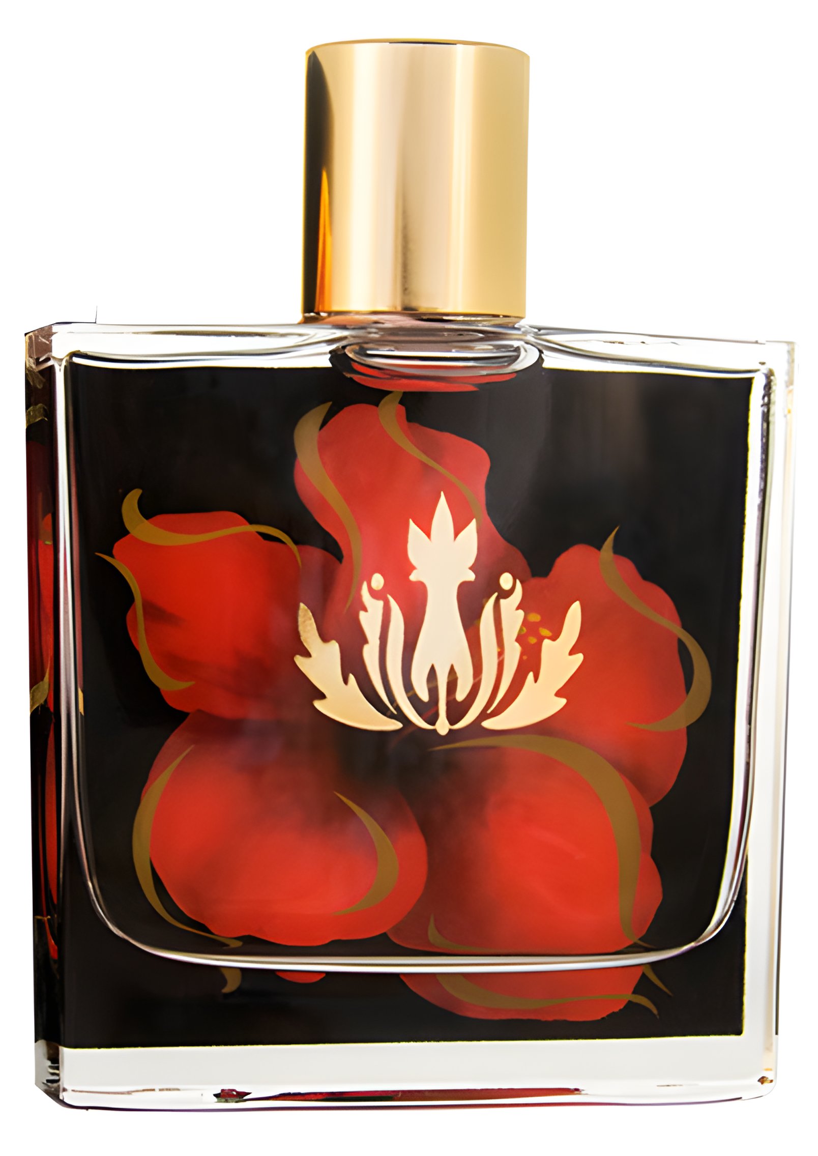 Picture of Hibiscus fragrance