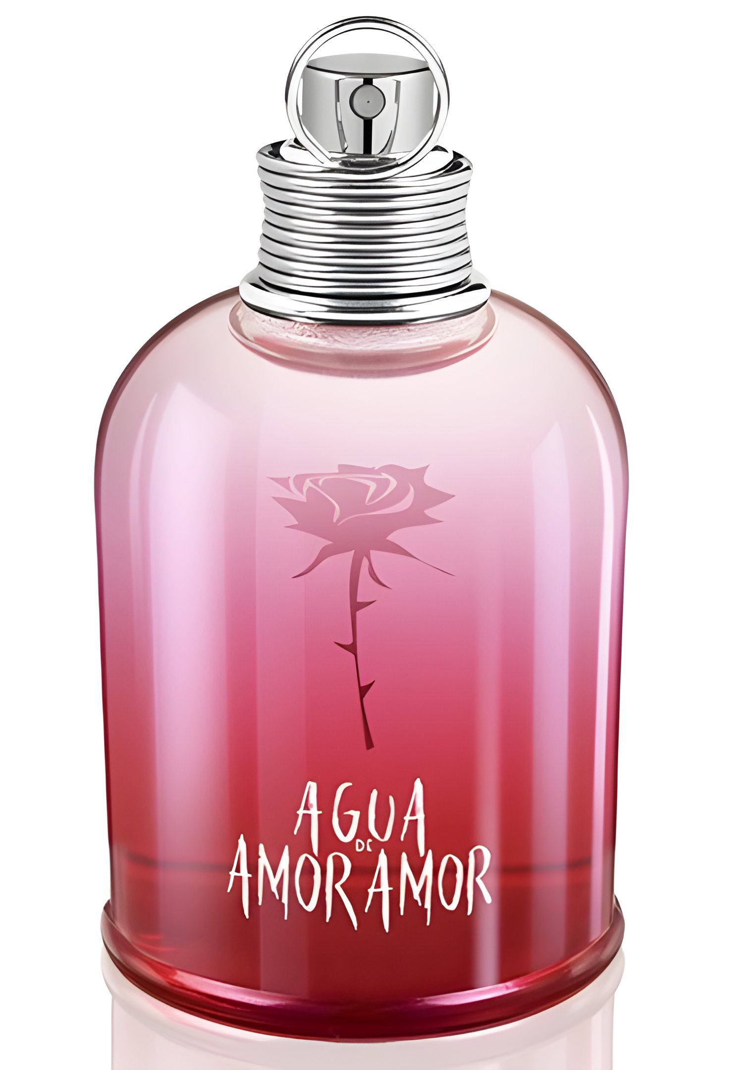 Picture of Agua de Amor Amor fragrance