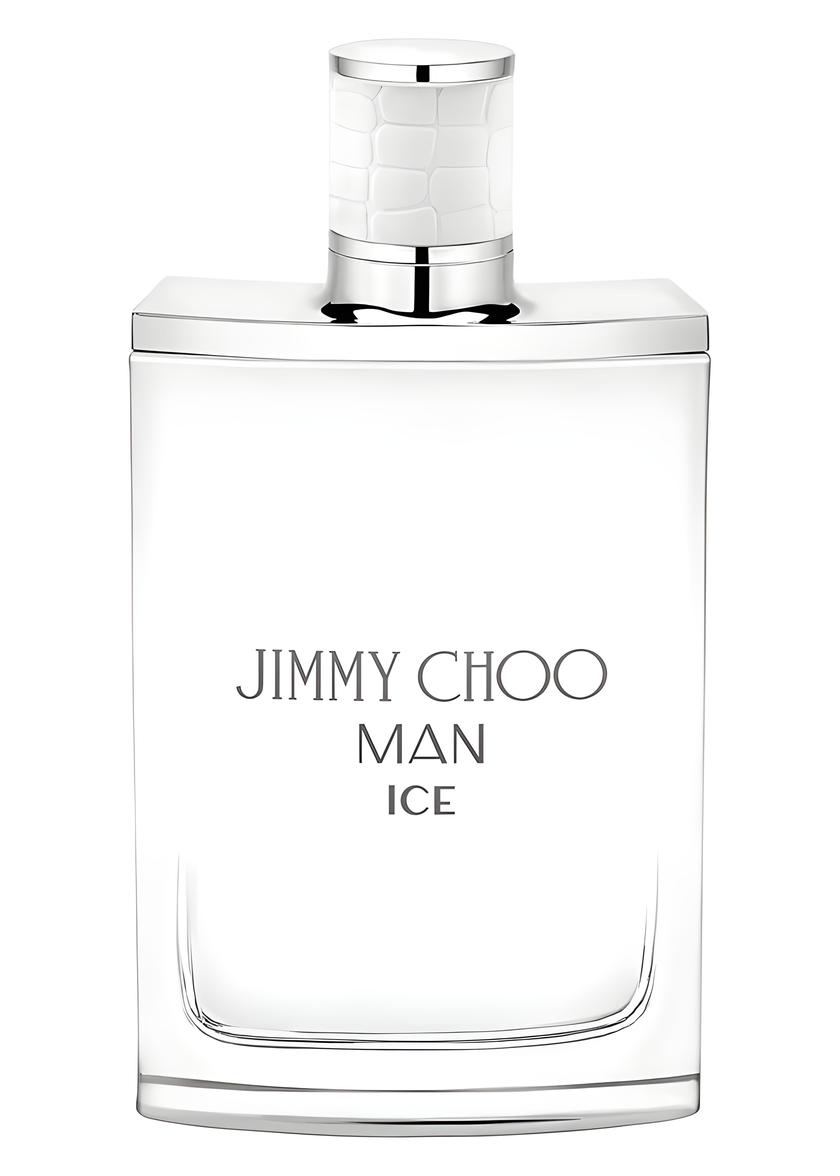 Picture of Jimmy Choo Man Ice fragrance