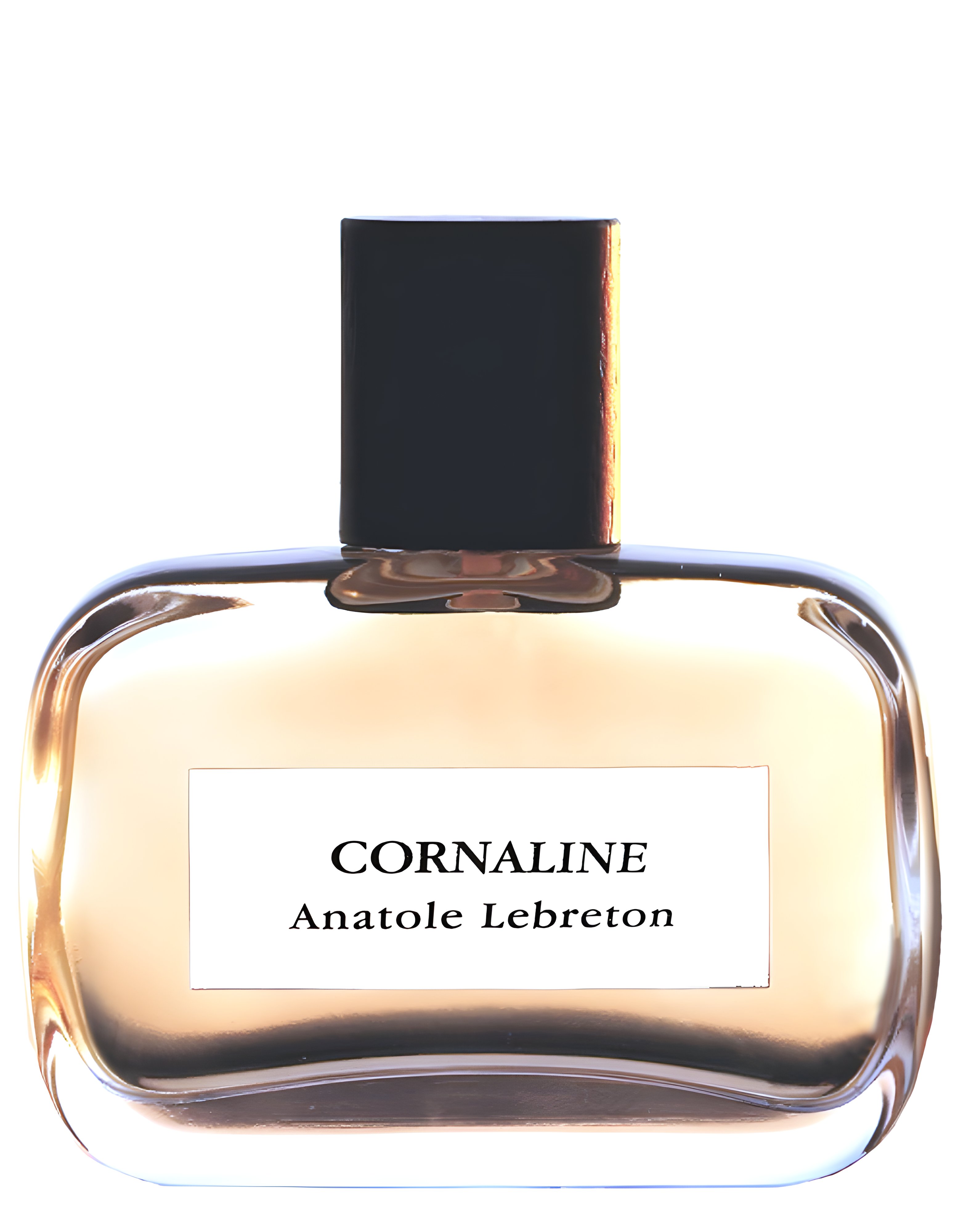 Picture of Cornaline fragrance